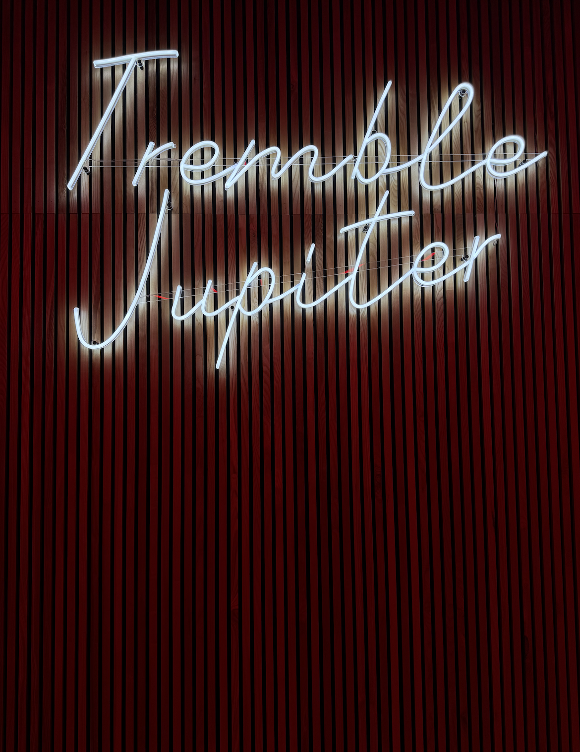TREMBLE Jupiter | Pilates Jupiter | FITNESS STUDIO