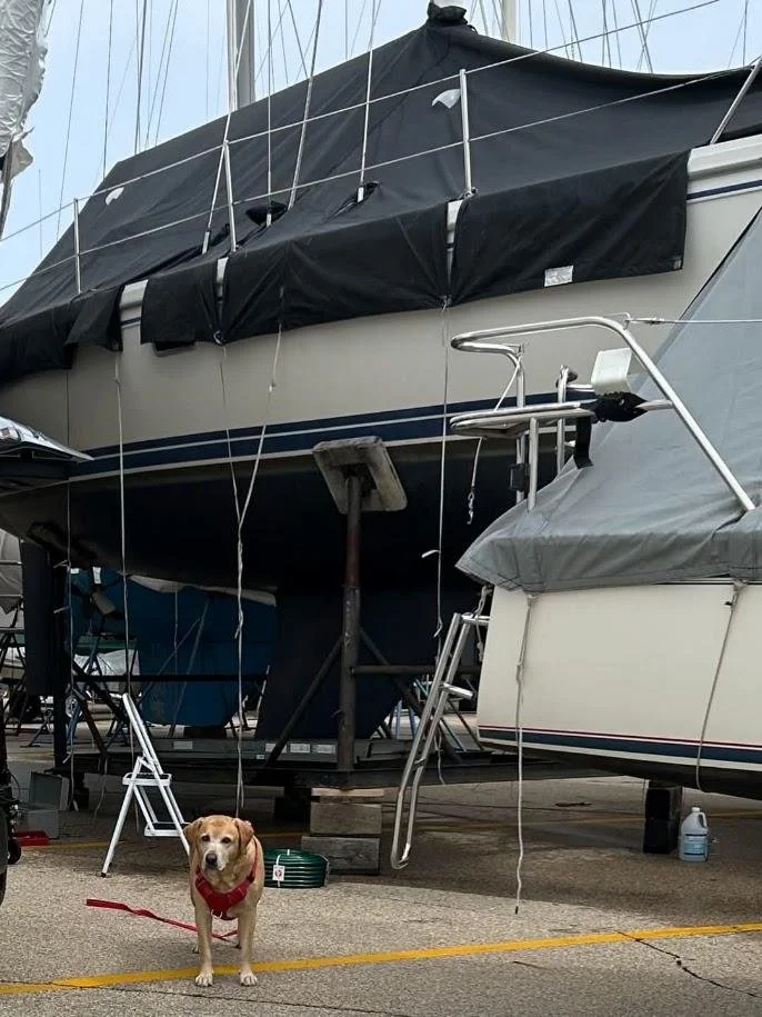 Winter Boat Cover Mabuhay.jpg