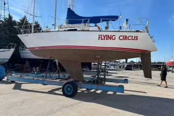 flying circus 3.webp