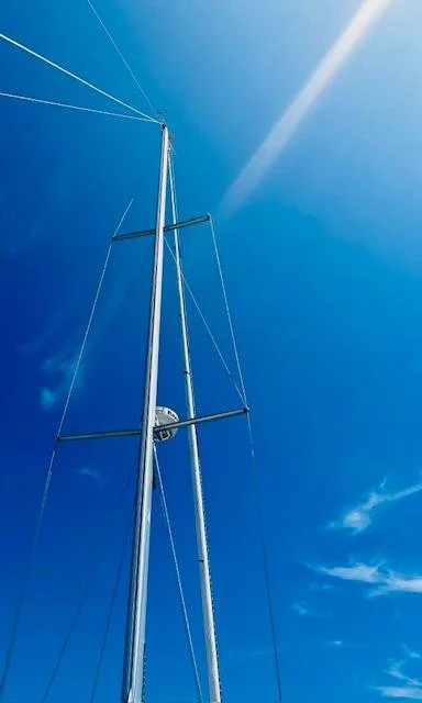 lem mast.jpeg