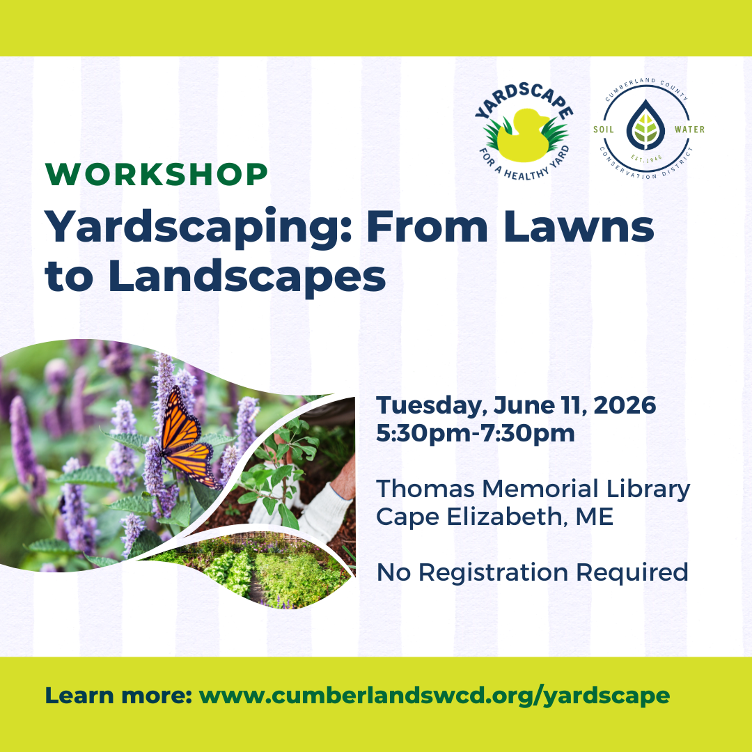 YardScaping: From Lawns to Landscapes