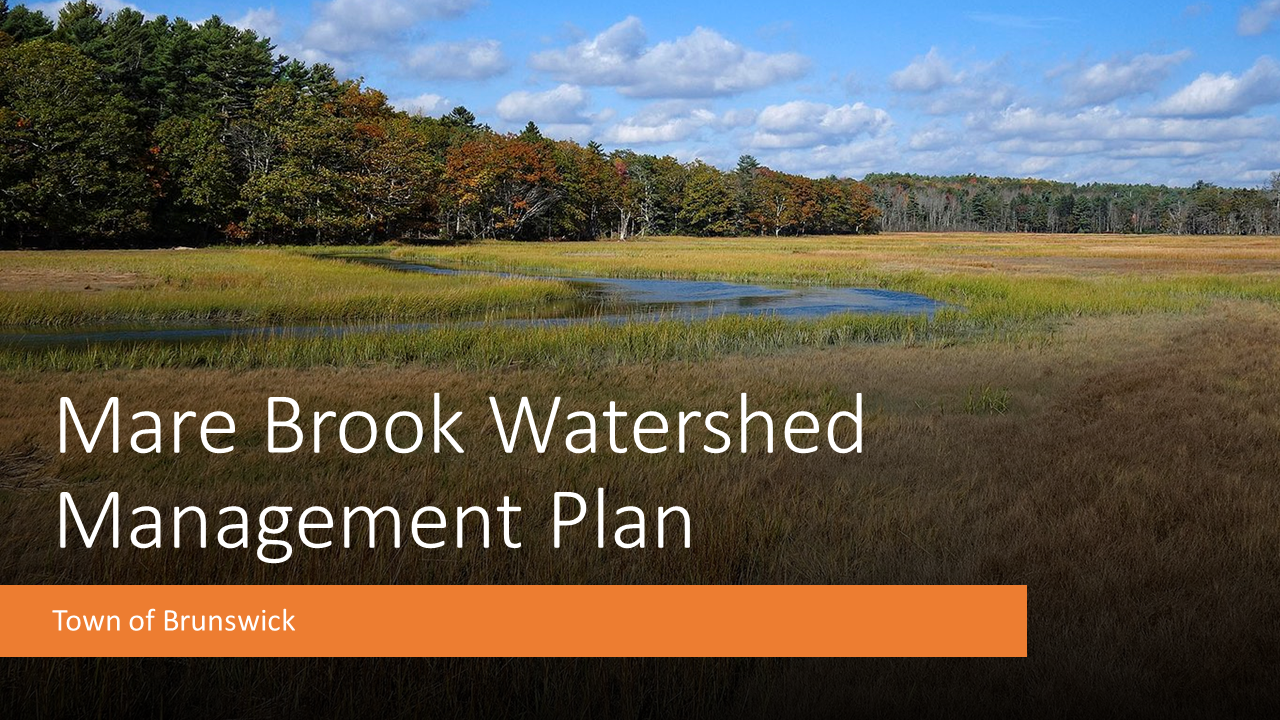 Mare Brook Watershed Management Plan