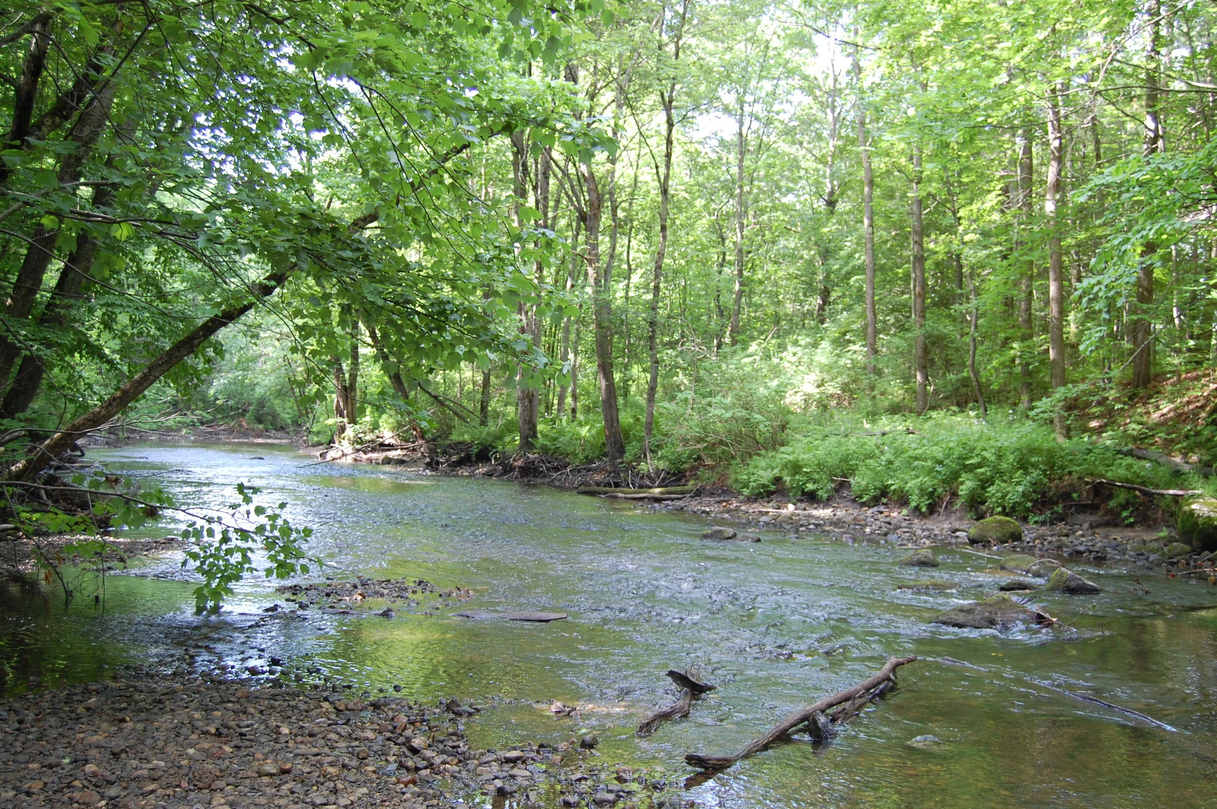 Our Organization — Cumberland County Soil & Water Conservation District