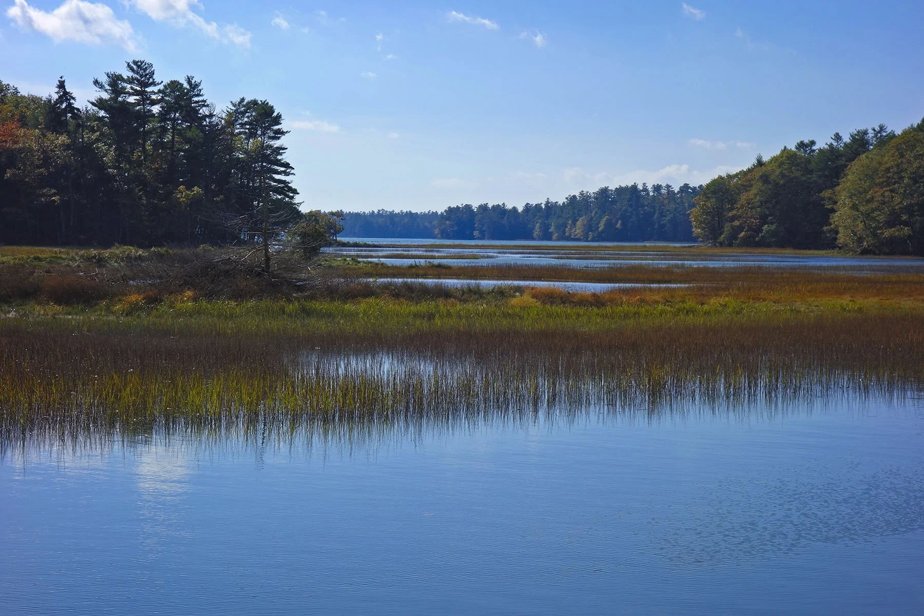 Harpswell Cove