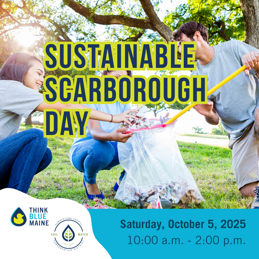 Sustainable Scarborough Day