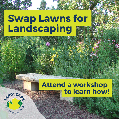 YardScaping: Healthy Lawn Care Made Easy