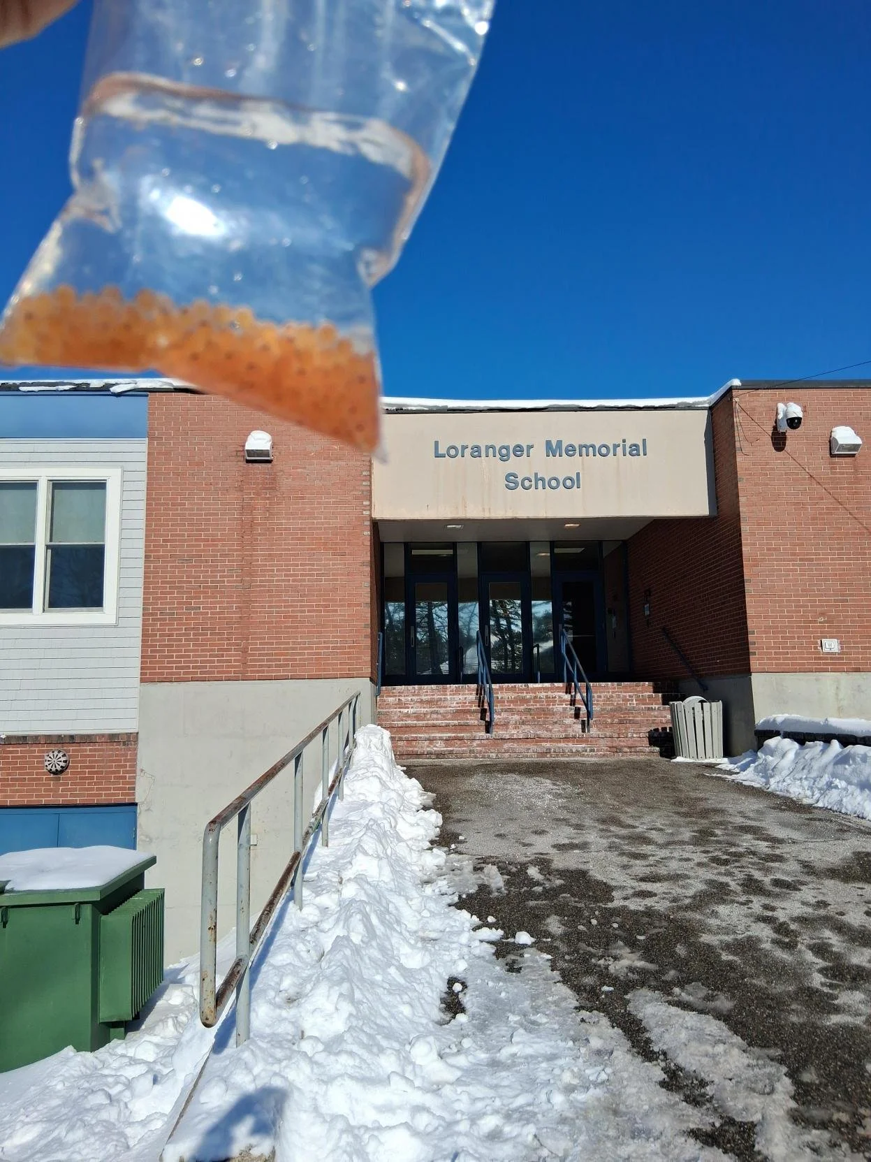 Trout Egg Delivery in Local Schools