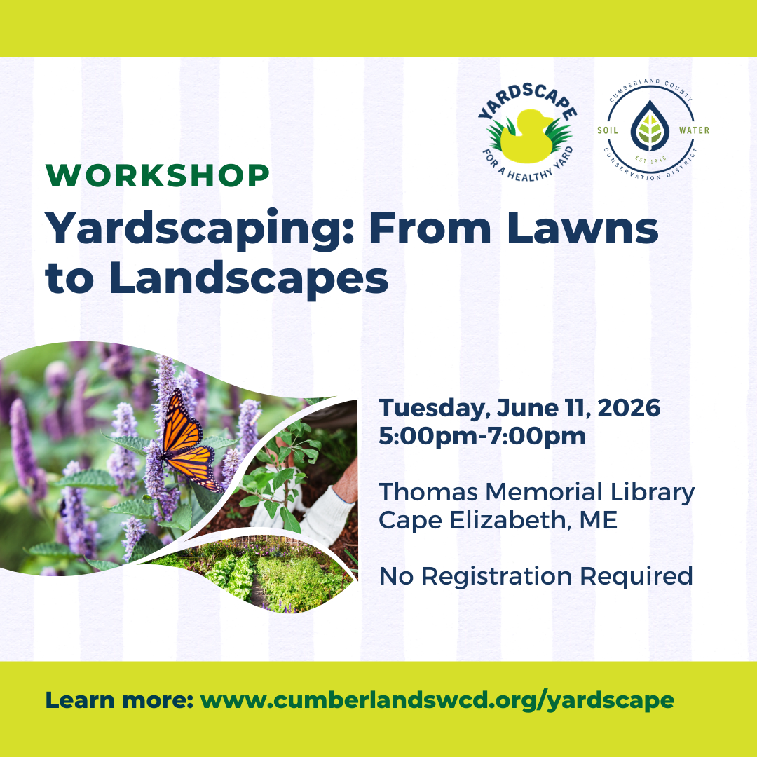 YardScaping: From Lawns to Landscapes