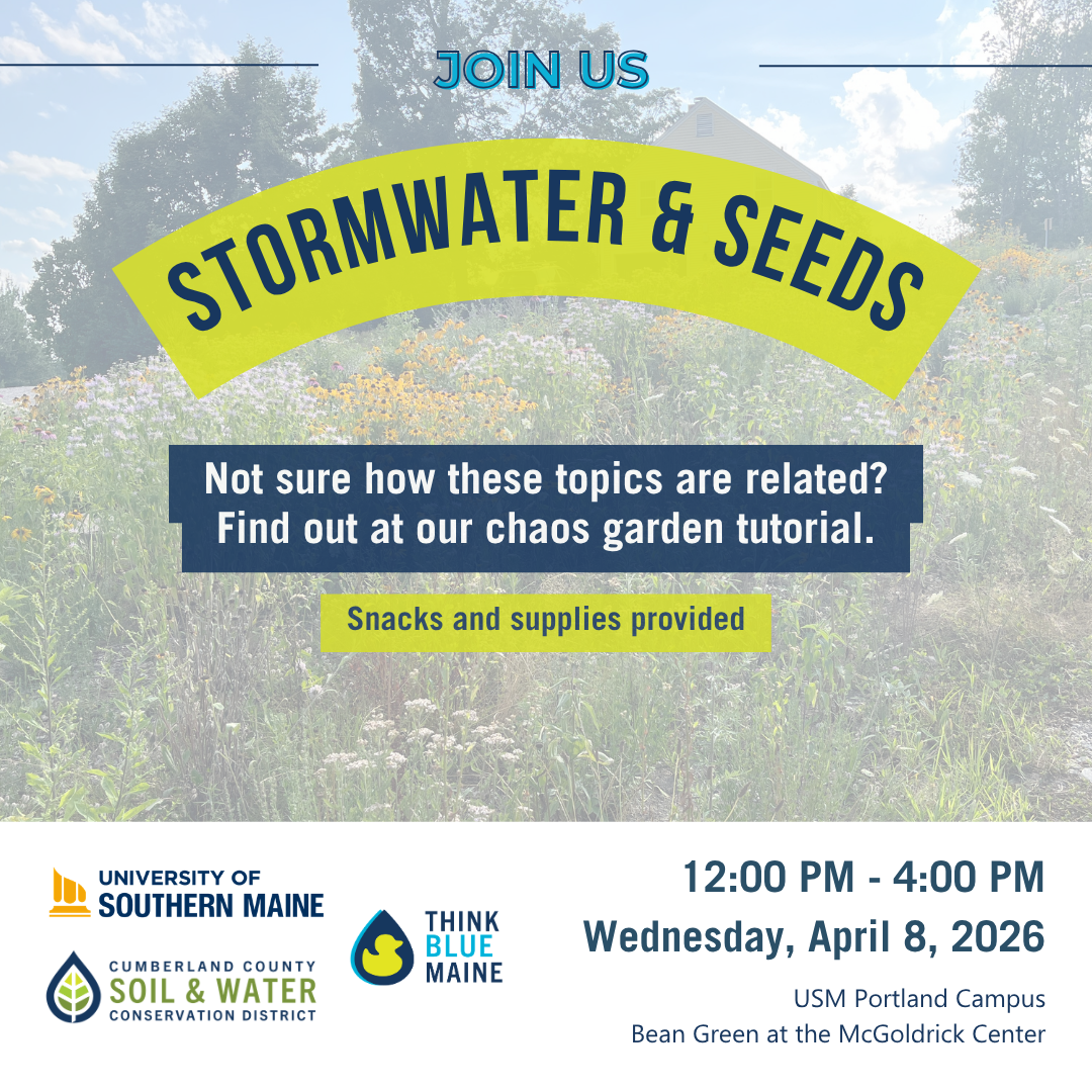 Stormwater & Seeds