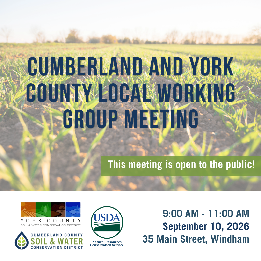 Local Working Group Meeting
