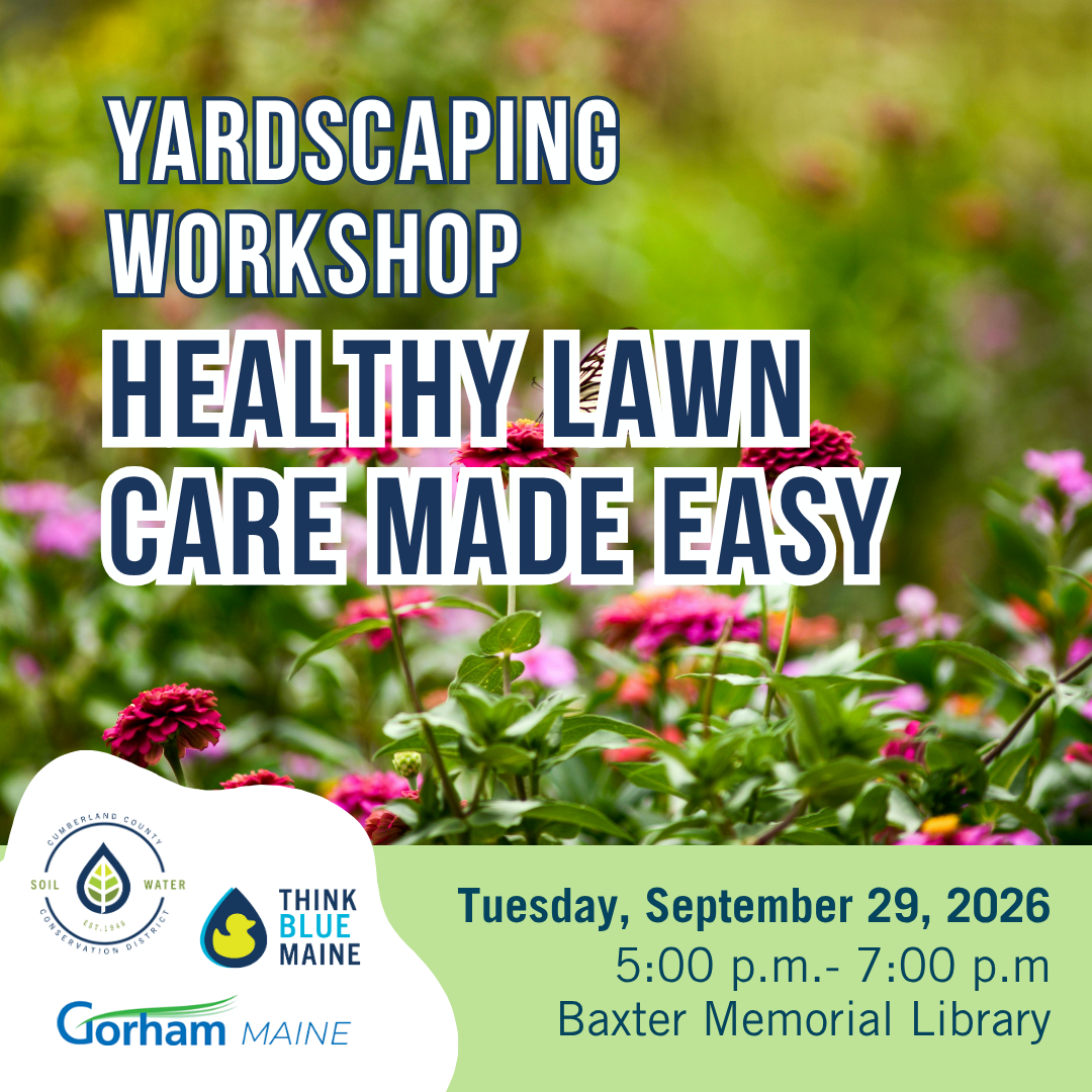 Gorham YardScaping: Healthy Lawn Care Made Easy