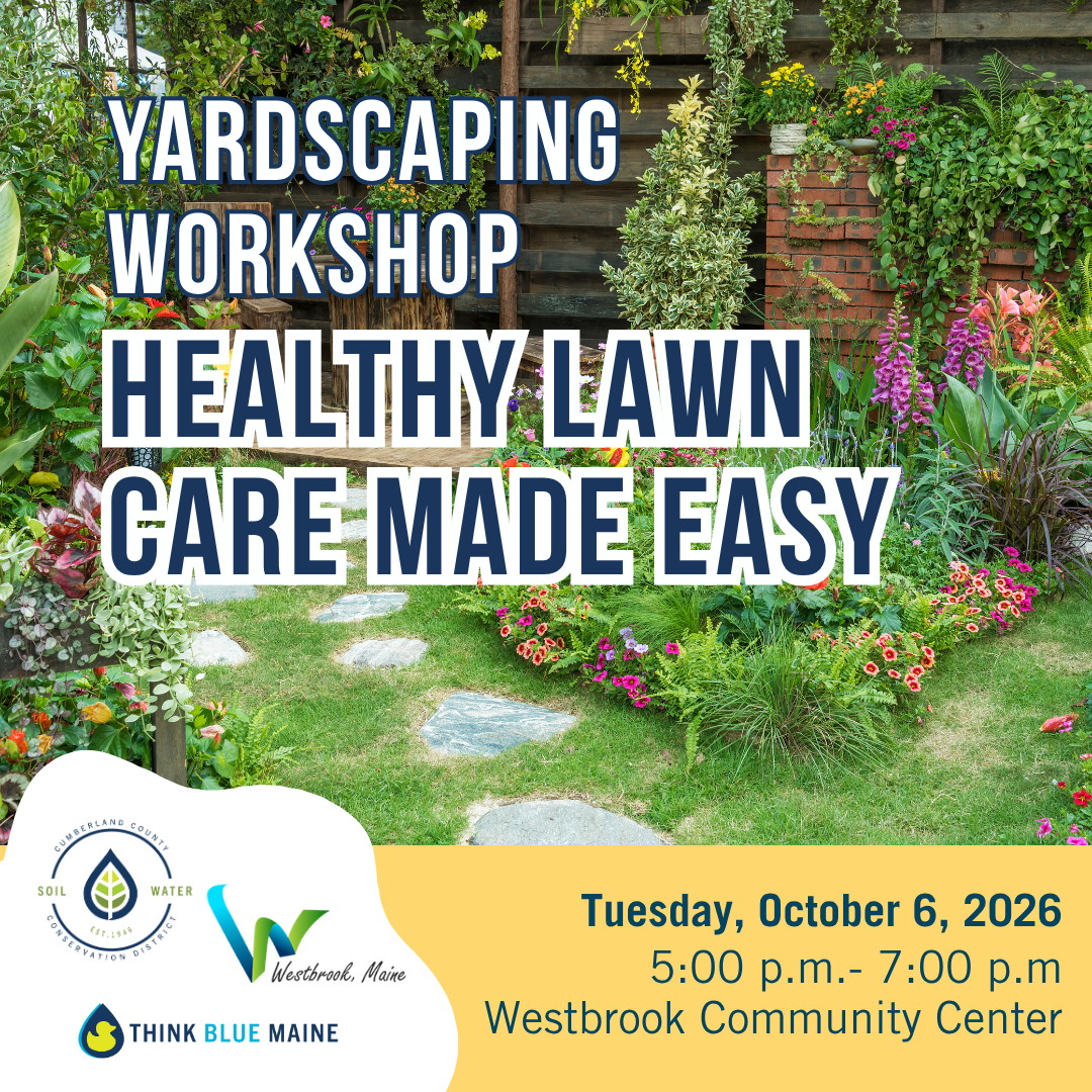 Westbrook YardScaping: Healthy Lawn Care Made Easy