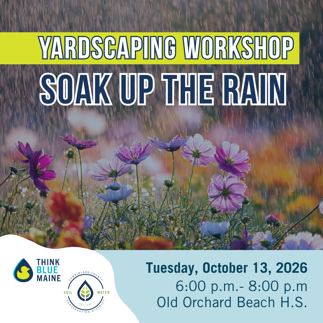 YardScaping OOB.png