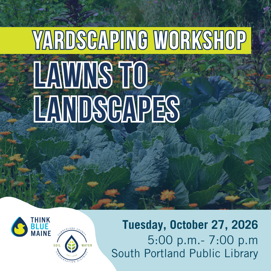 YardScaping SP.png