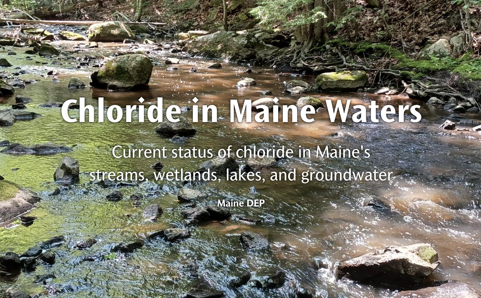 Maine DEP Releases Chloride Report