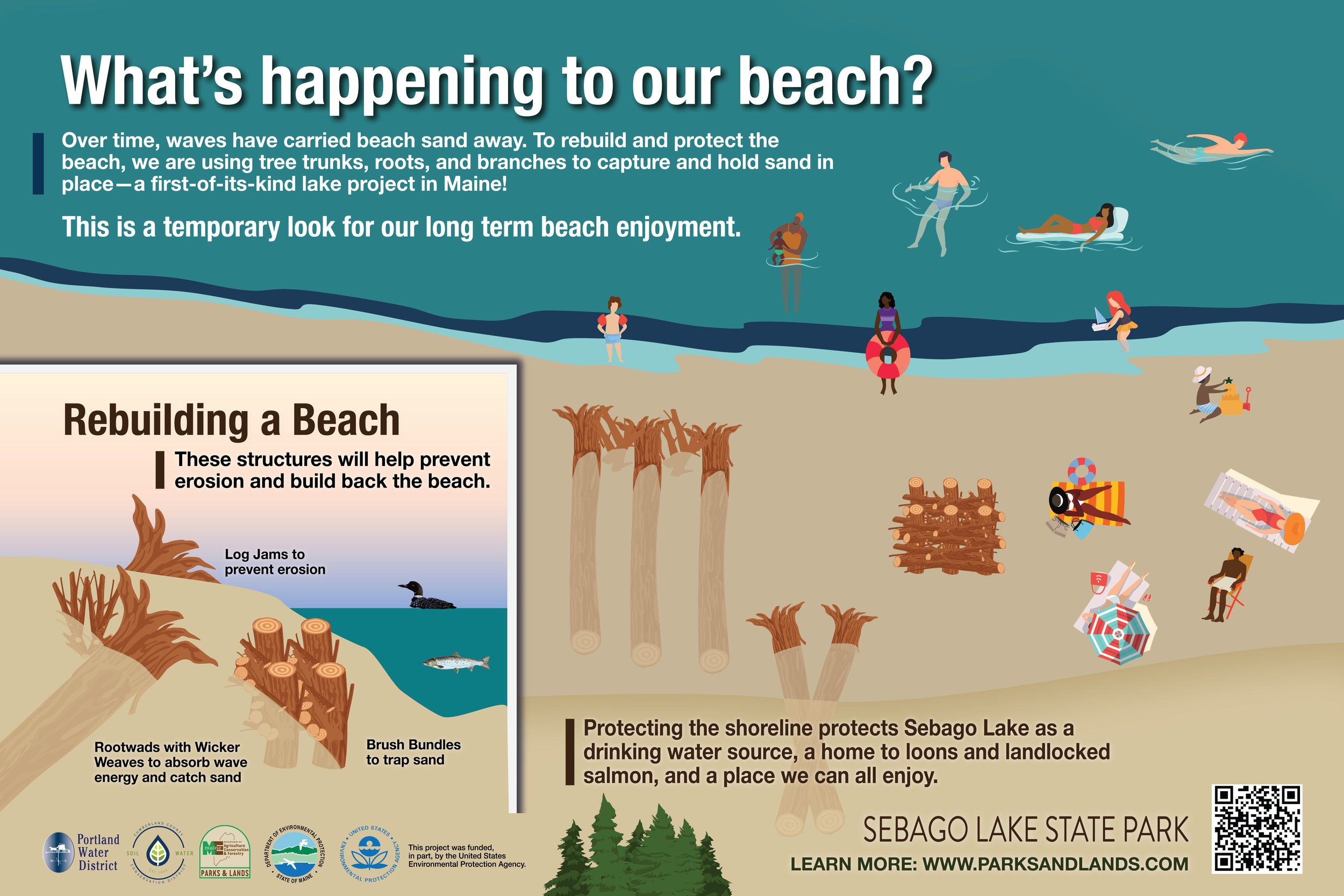 Nature-based Beach Restoration at Sebago Lake — Cumberland County Soil ...