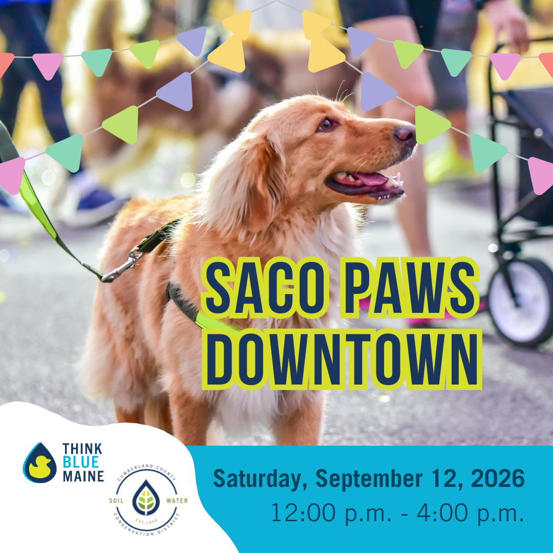 PAWS Downtown