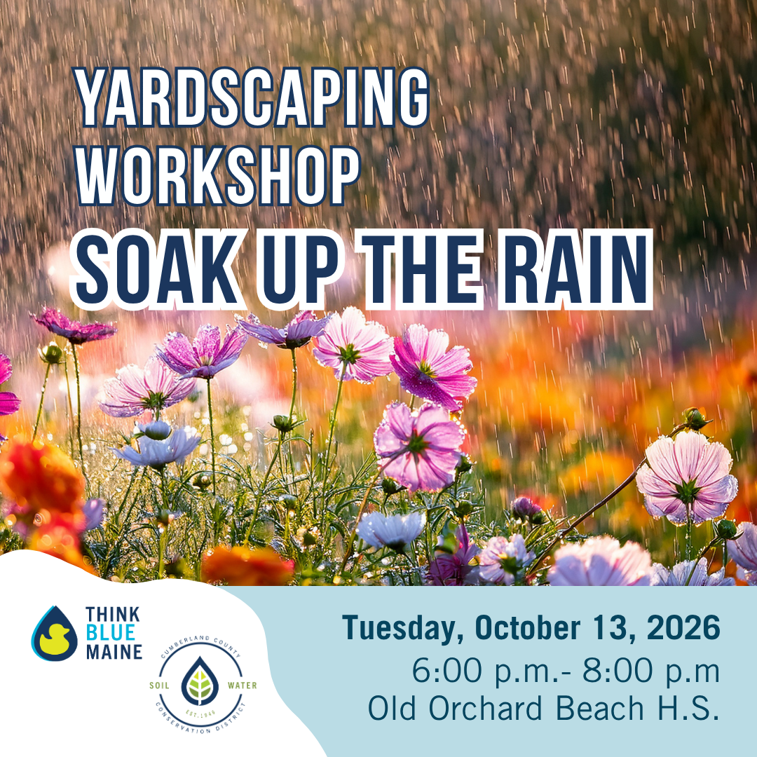 YardScaping OOB.png