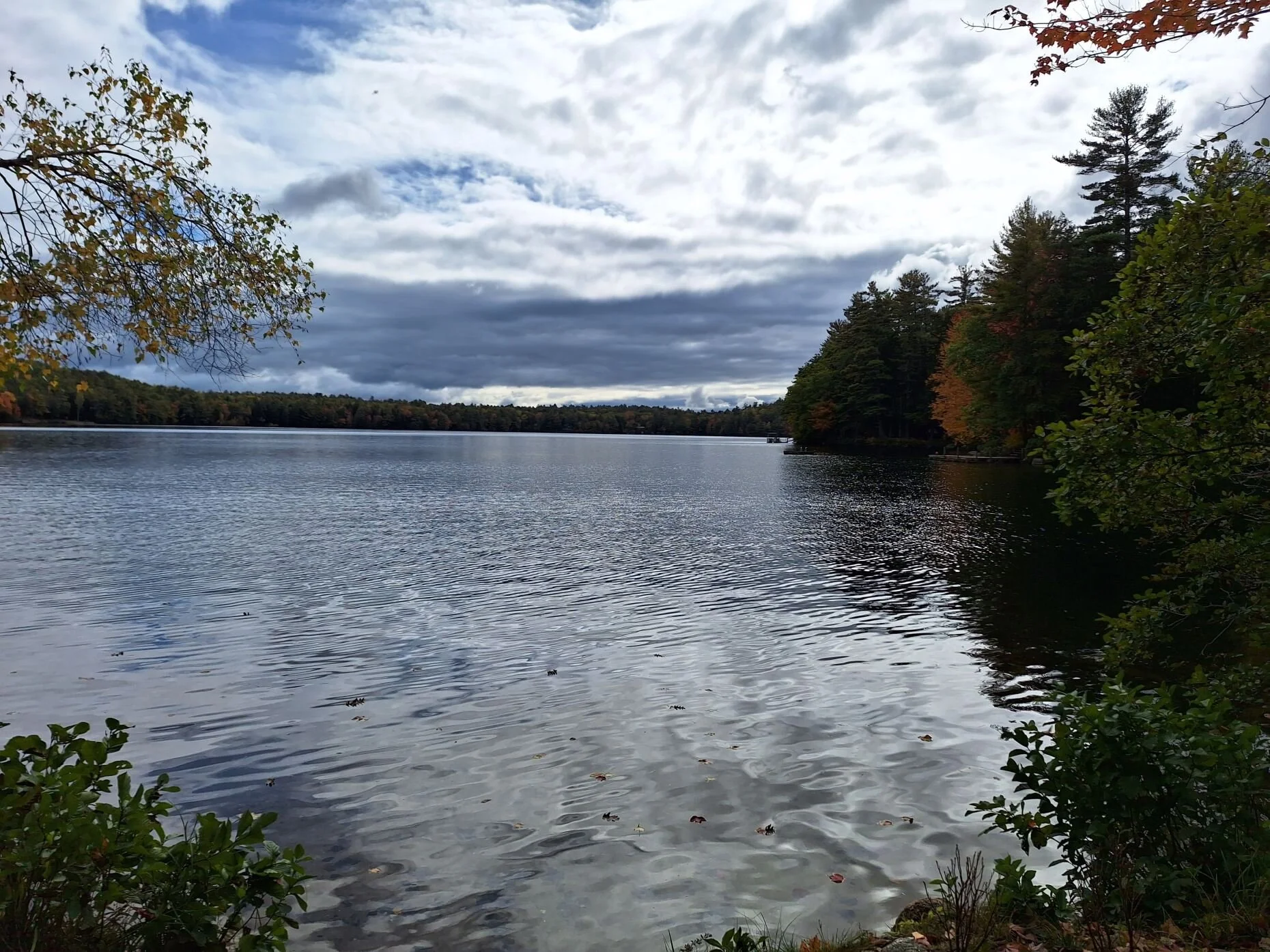 Trickey Pond Water Quality Improvements — Cumberland County Soil