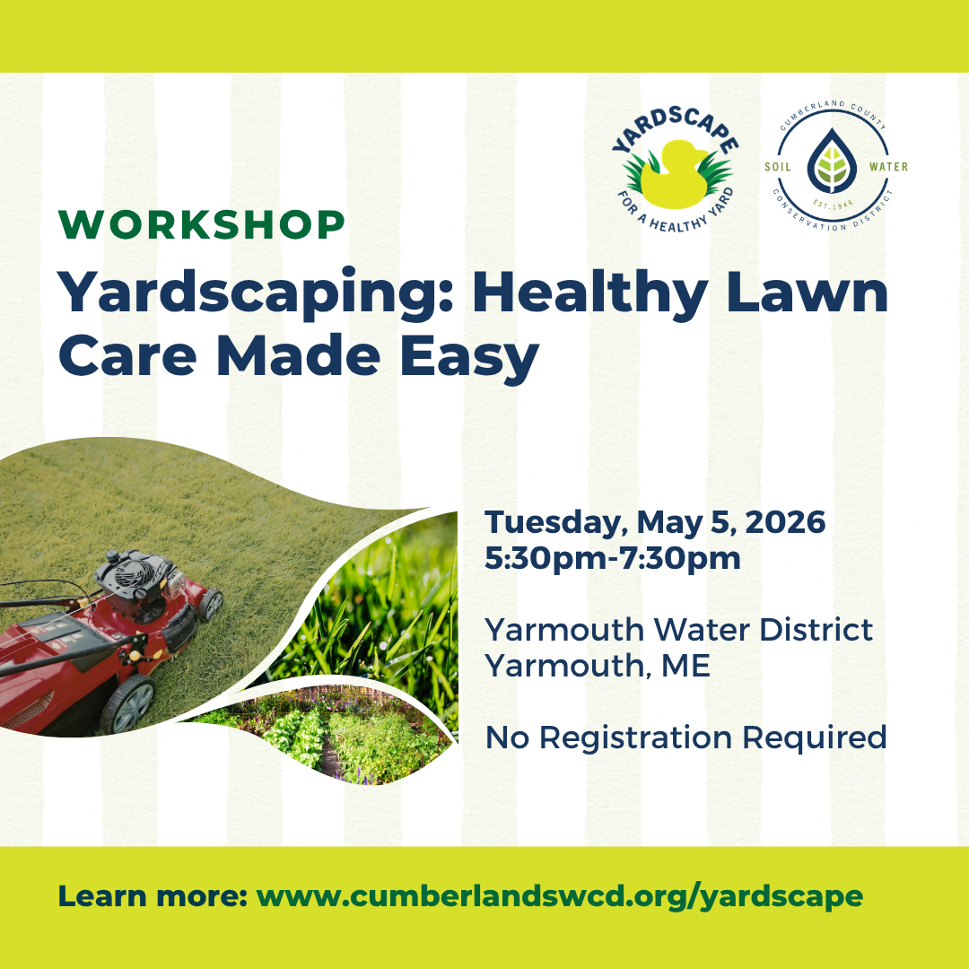 YardScaping: Healthy Lawn Care Made Easy