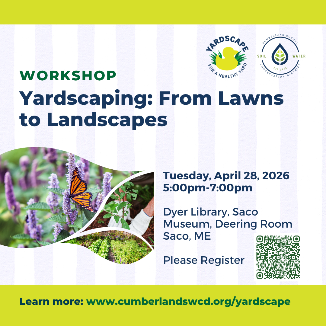 YardScaping: From Lawns to Landscapes