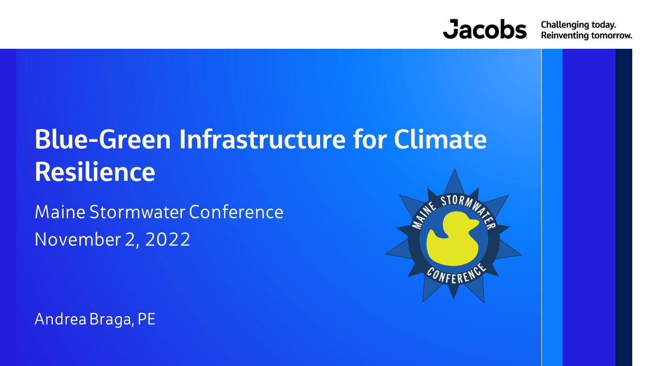 Blue-Green Infrastructure for Climate Resilience