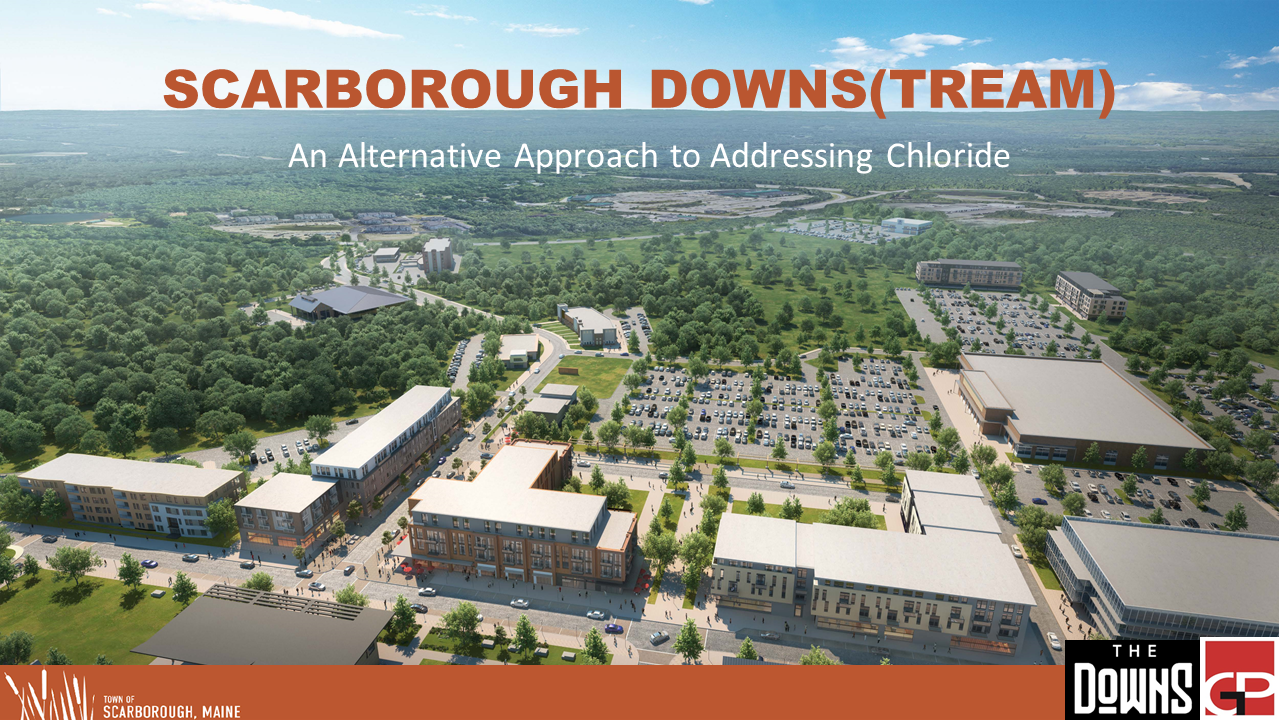 Scarbrough Downs(tream) An Alternative Approach to Addressing Chloride