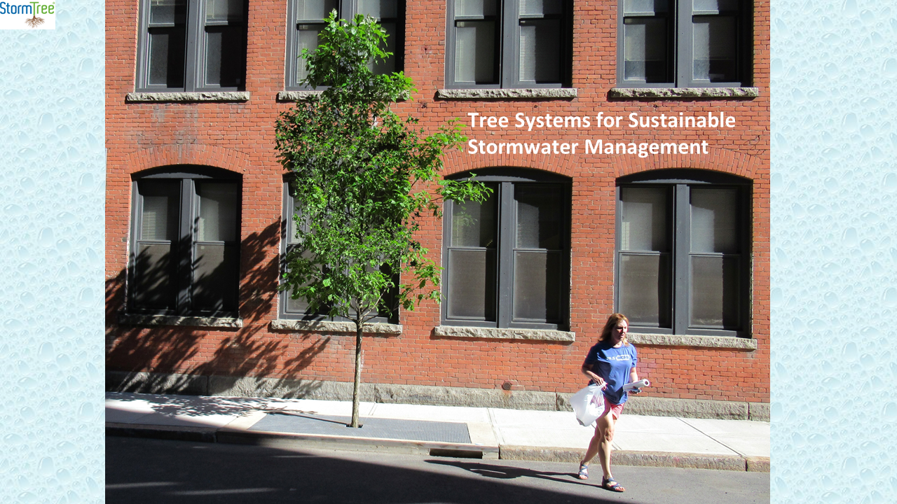 Tree Systems for Sustainable Stormwater Management