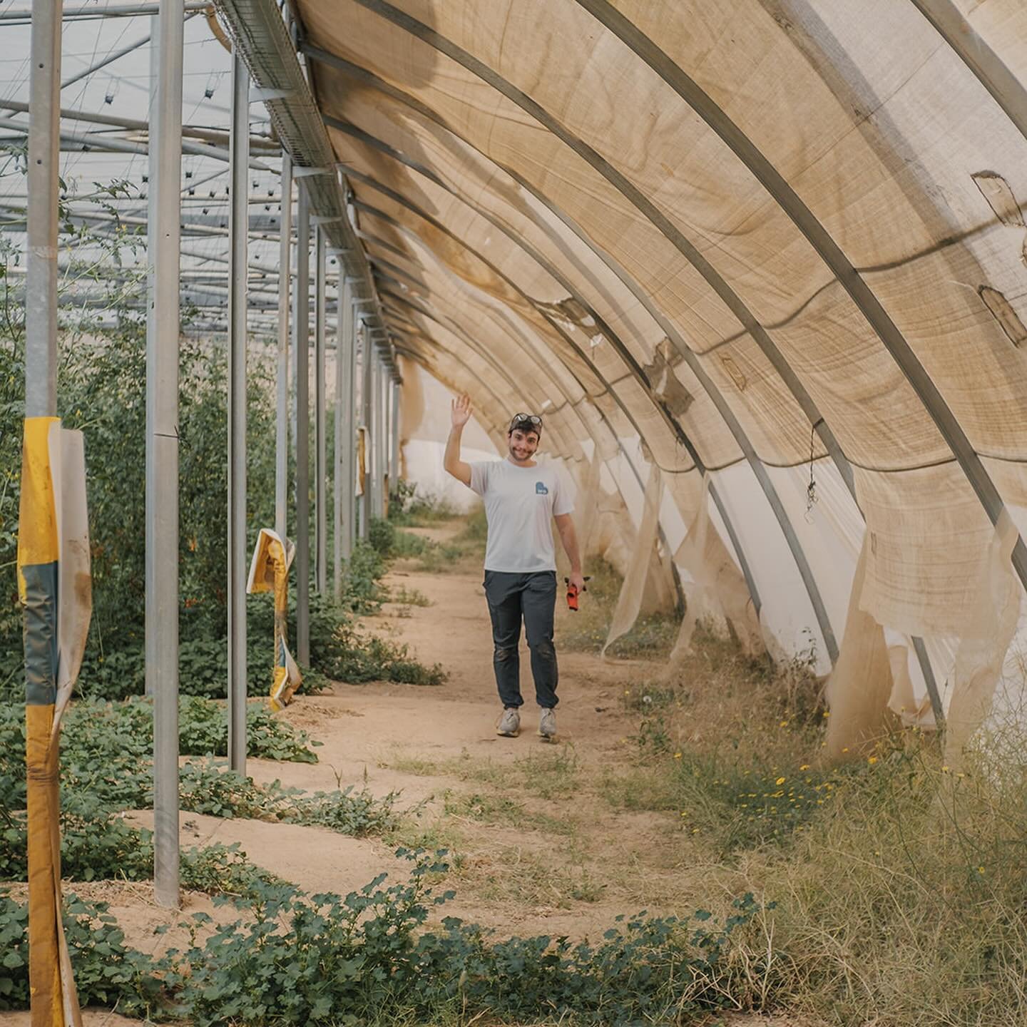 Our responders have been honored to assist in harvesting produce along the Egypt-Israel border. With the ongoing war causing a shortage of laborers on many farms, and considering Israel&rsquo;s significant role in producing the majority of their agri