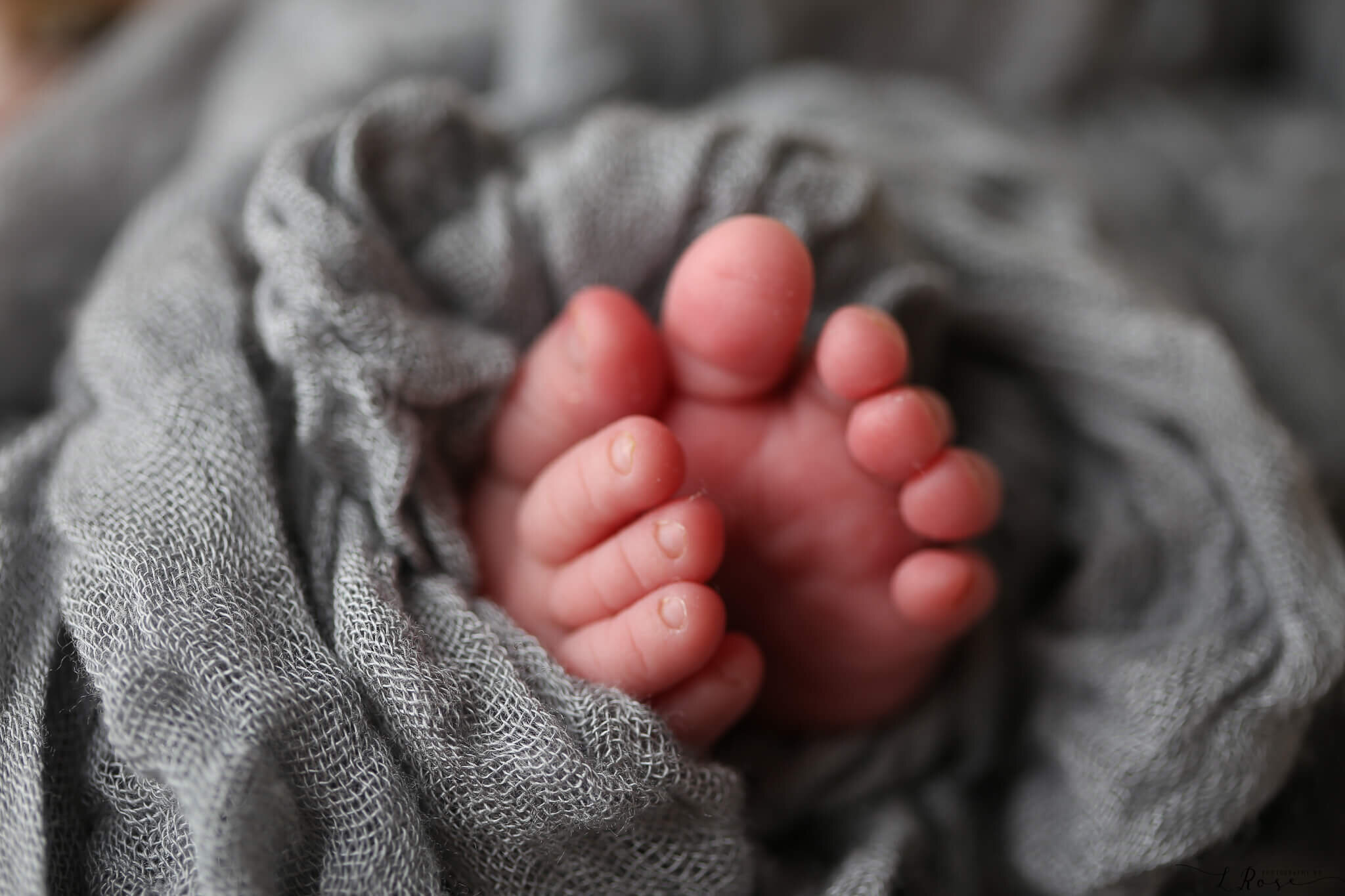  An image of a closeup view of a newborn’s precious tiny feet and toes peeping out of a soft gauze wrap from a newborn picture session 