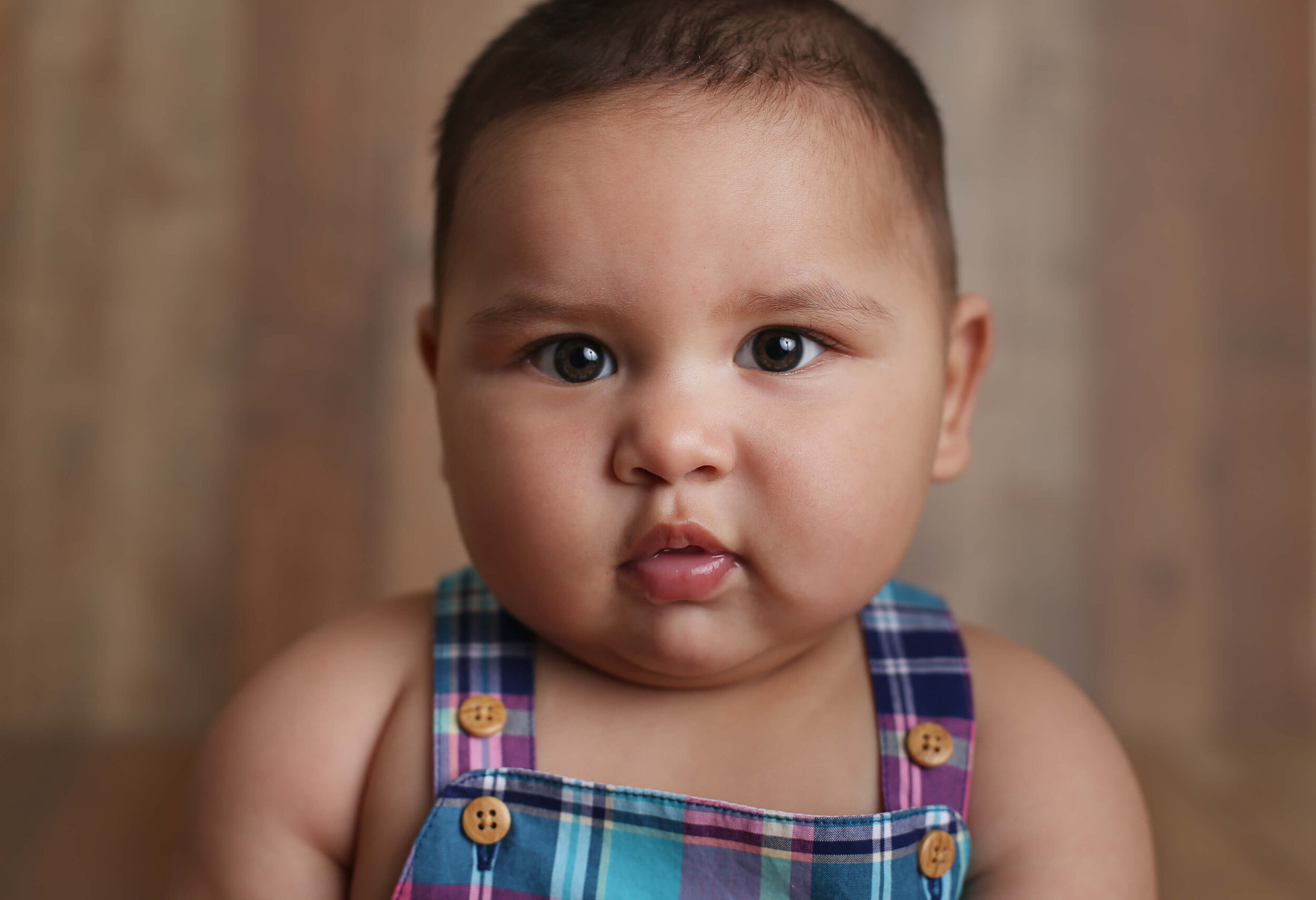  A picture of a closeup view of a cute baby boy with chubby cheeks, looking thoughtfully at the camera, showing every detail in his face as he reaches a one-year-old milestone from a baby photo session 