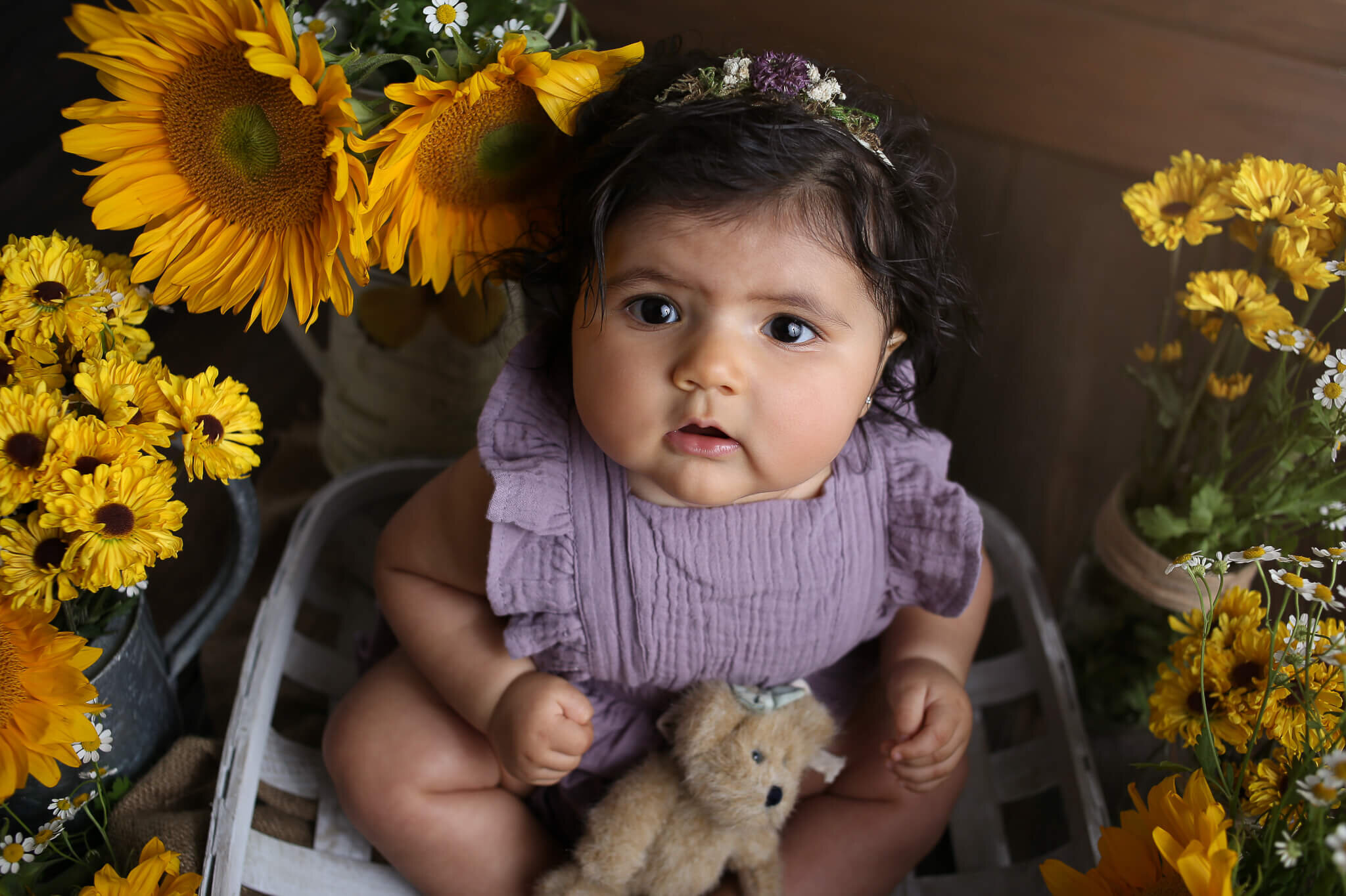  An image from above of a cute baby girl in her ruffled one-piece outfit, sitting in a basket with a teddy bear with a vase of sunflowers and daisies behind her, reaching a new milestone from a baby milestone photo session 