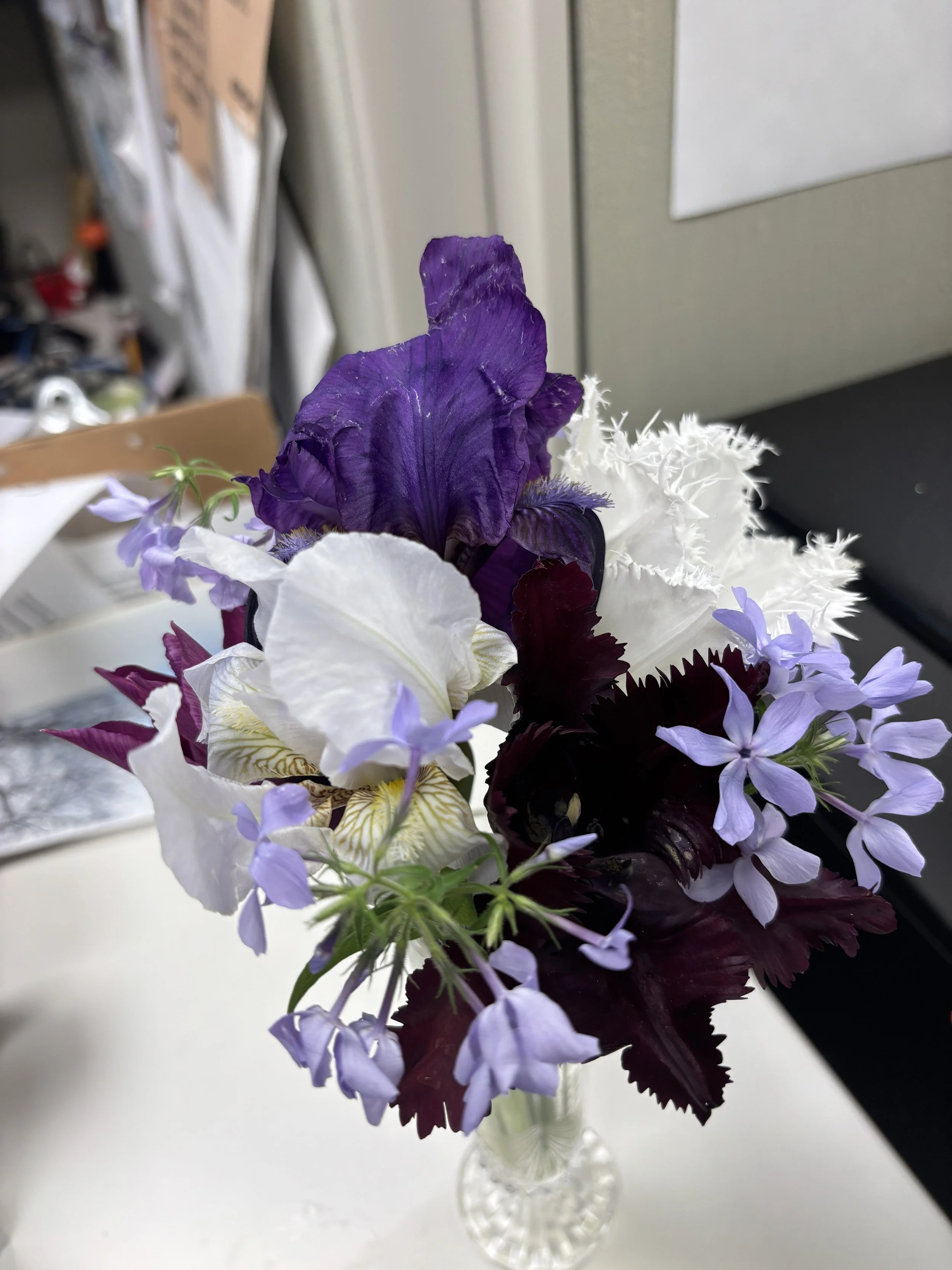spring bouquet of iris, tulips, and woodland flox