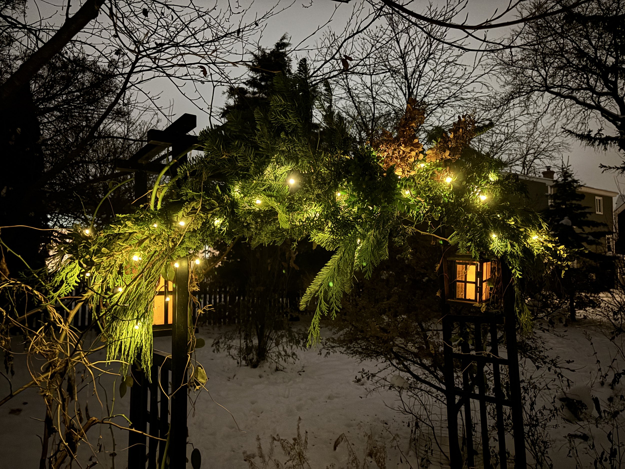 image of a winter evergreen swag with fairy  lights