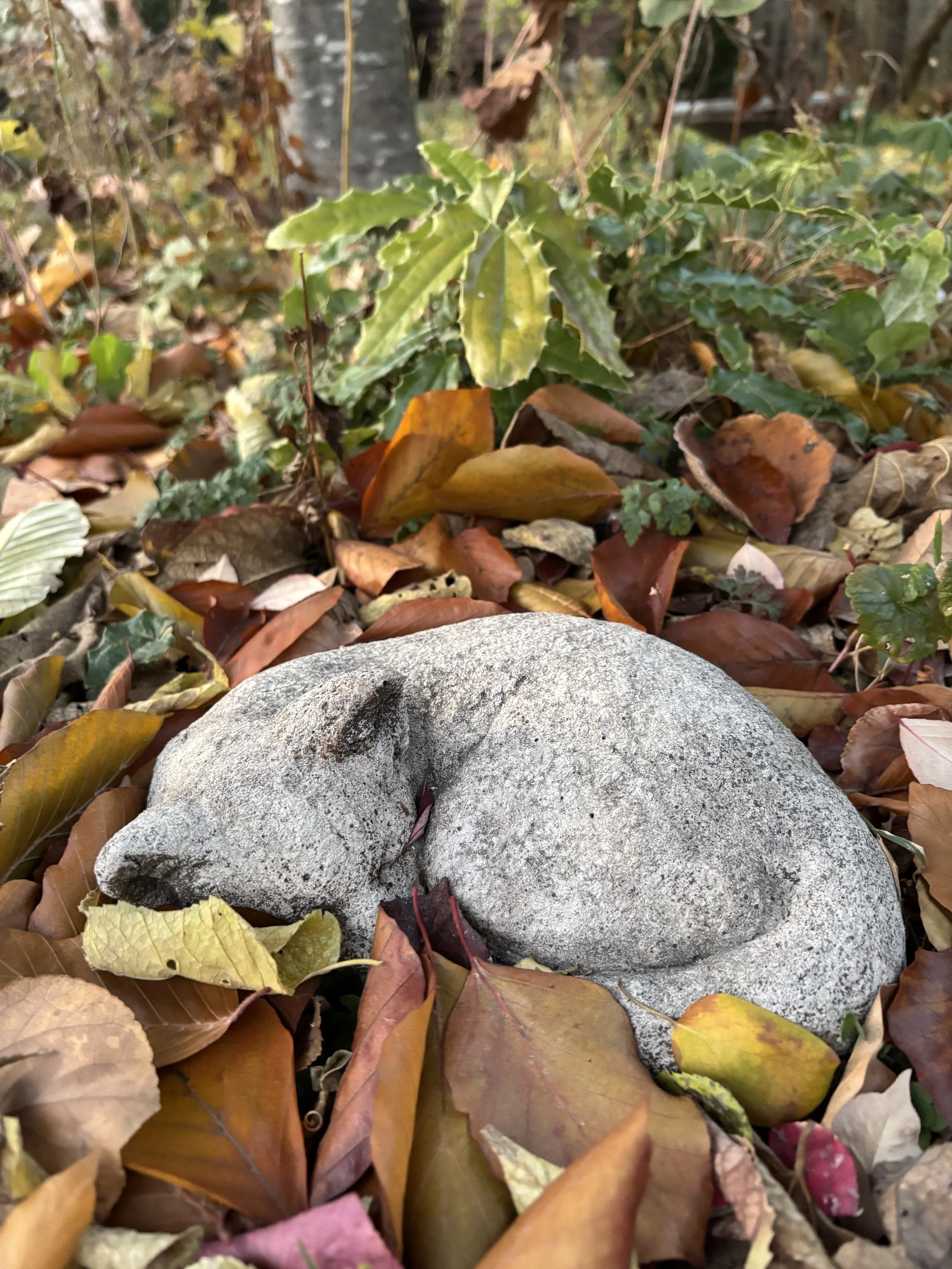 cat statue in fallen leaves