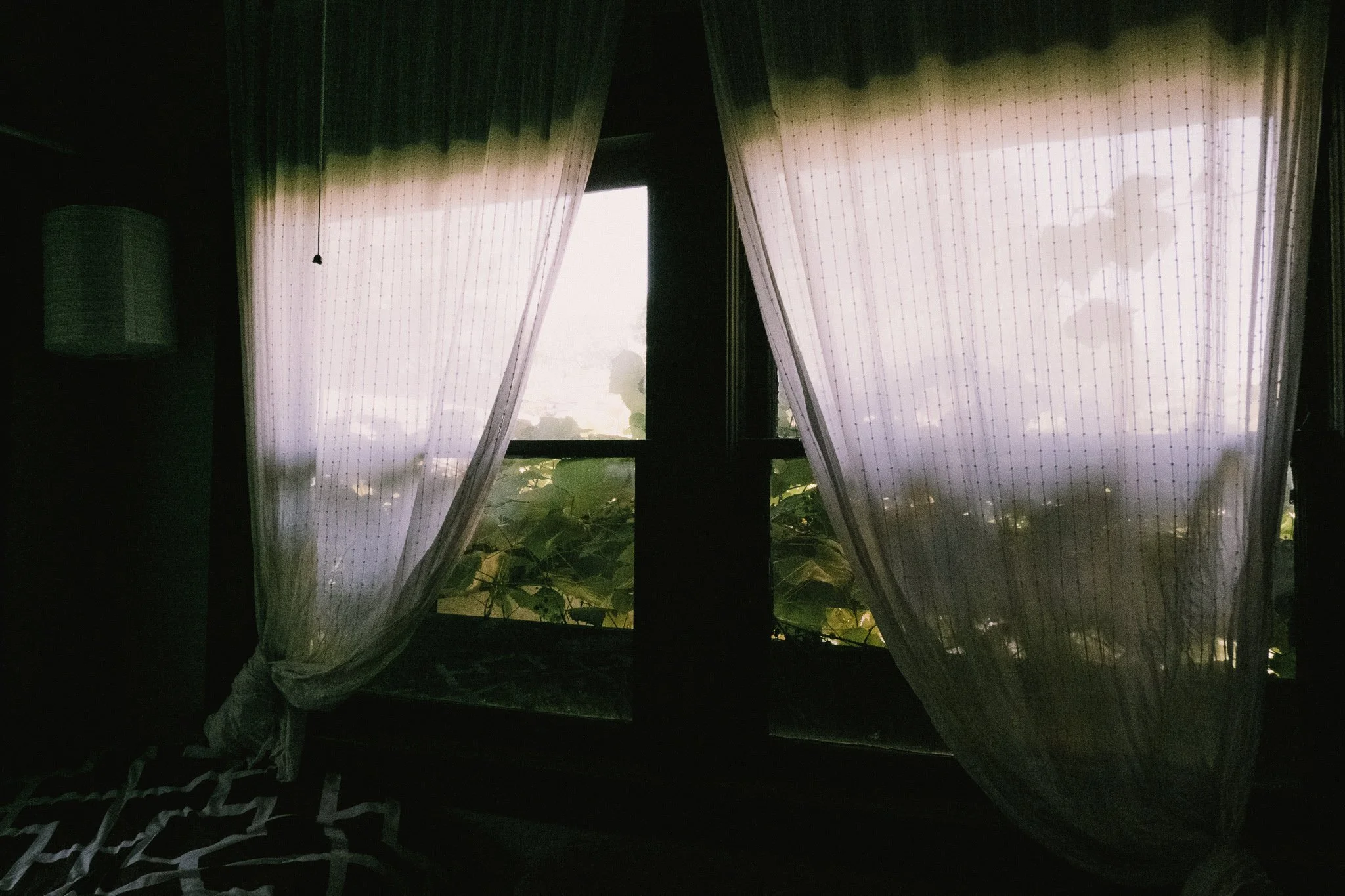 DSCF4140.jpg