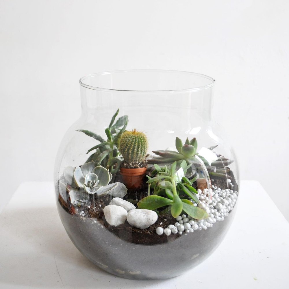 New Bud Floristry Glasgow Florist