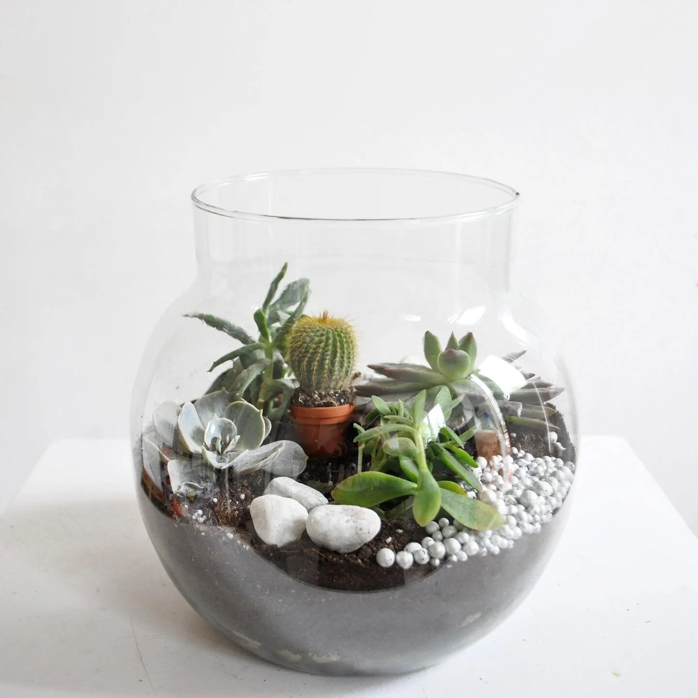 New Bud Floristry Glasgow Florist