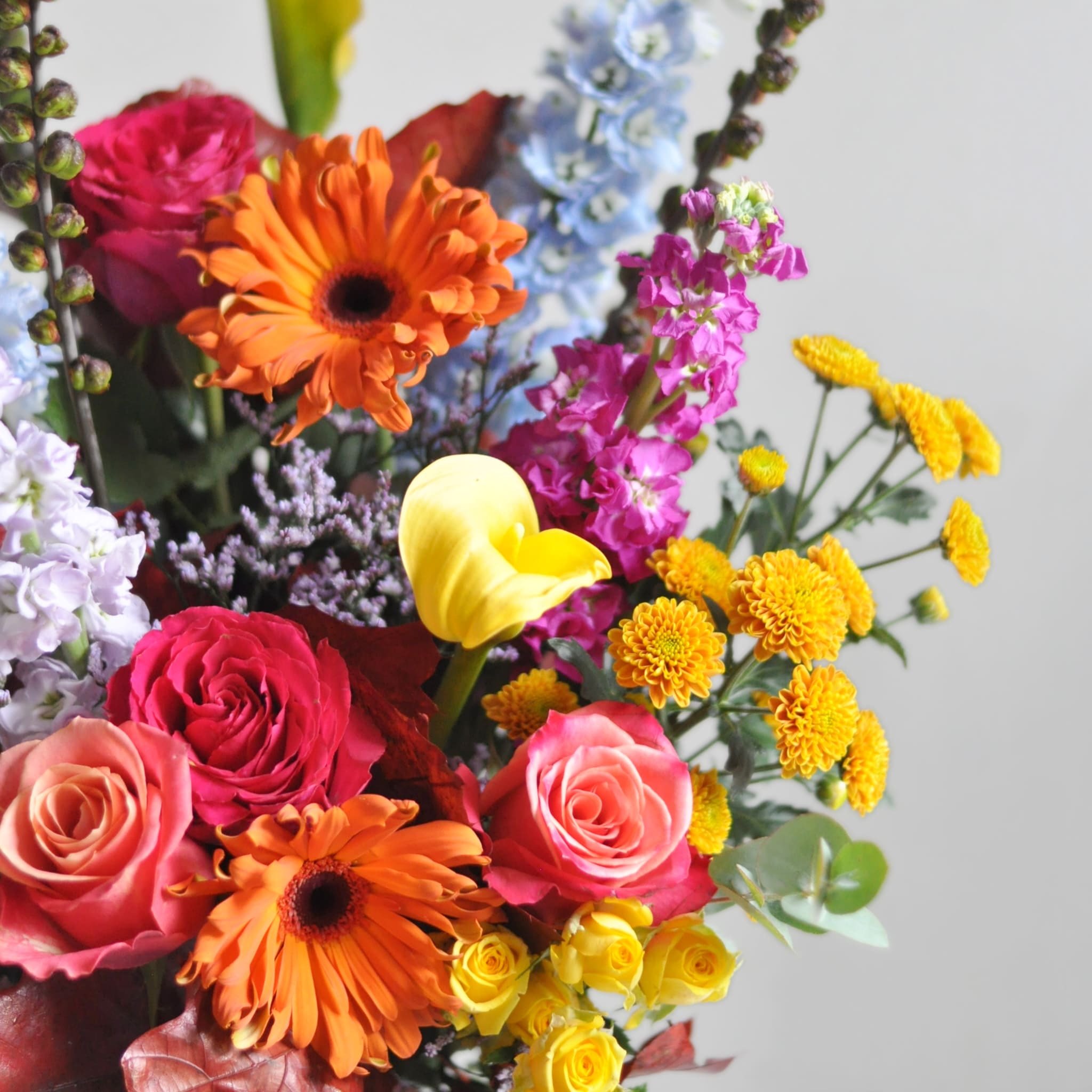 Glasgow-Weekly-Flowers-311023-2-min.jpeg