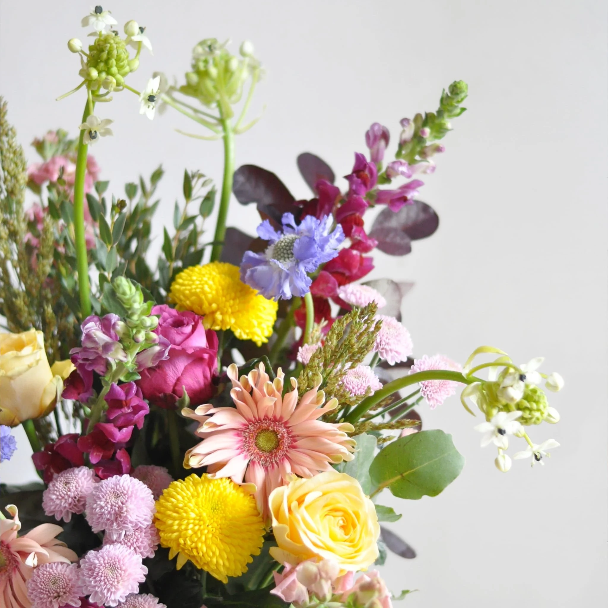 Glasgow-Weekly-Flowers-260923-2-min.jpeg