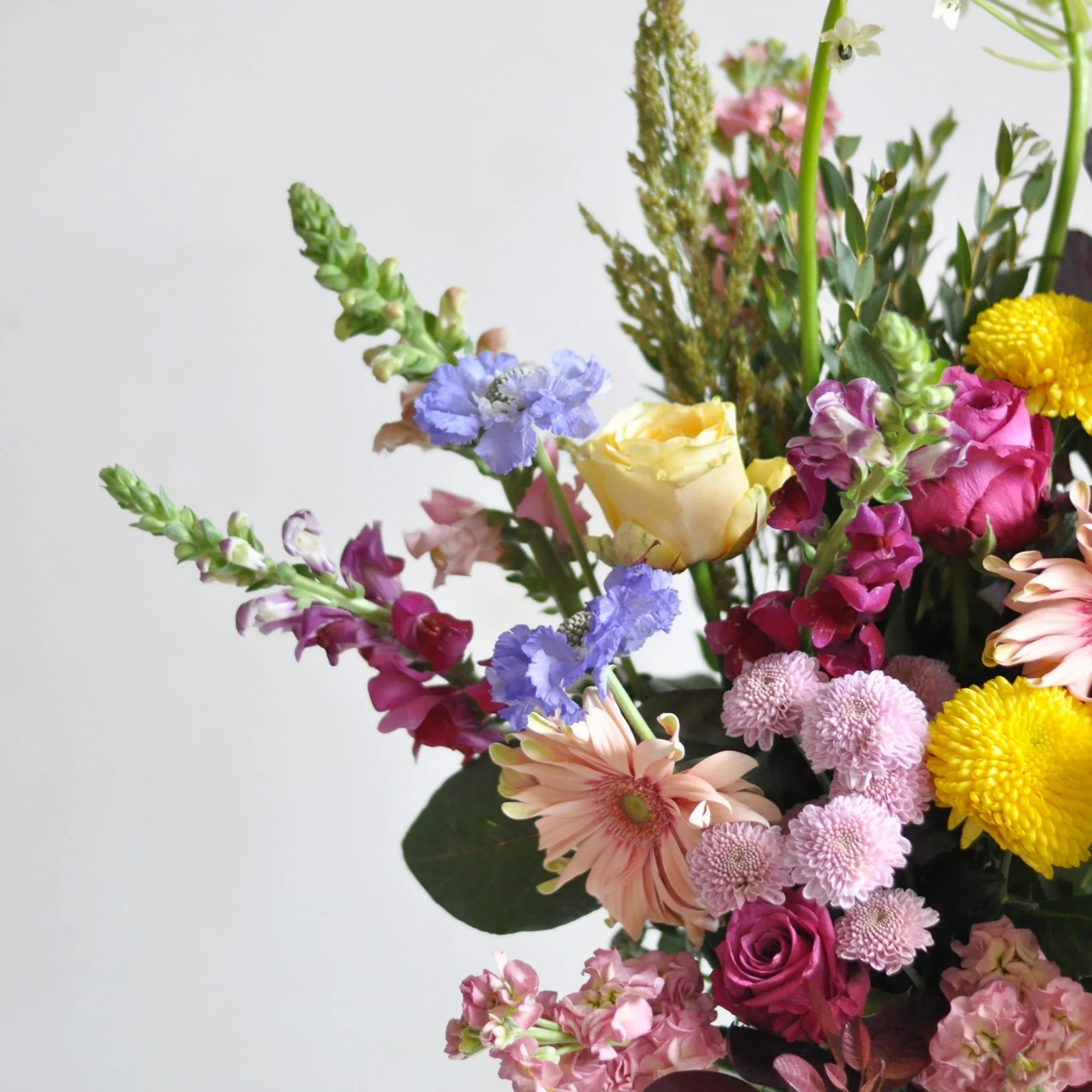 Glasgow-Weekly-Flowers-260923-1-min.jpeg