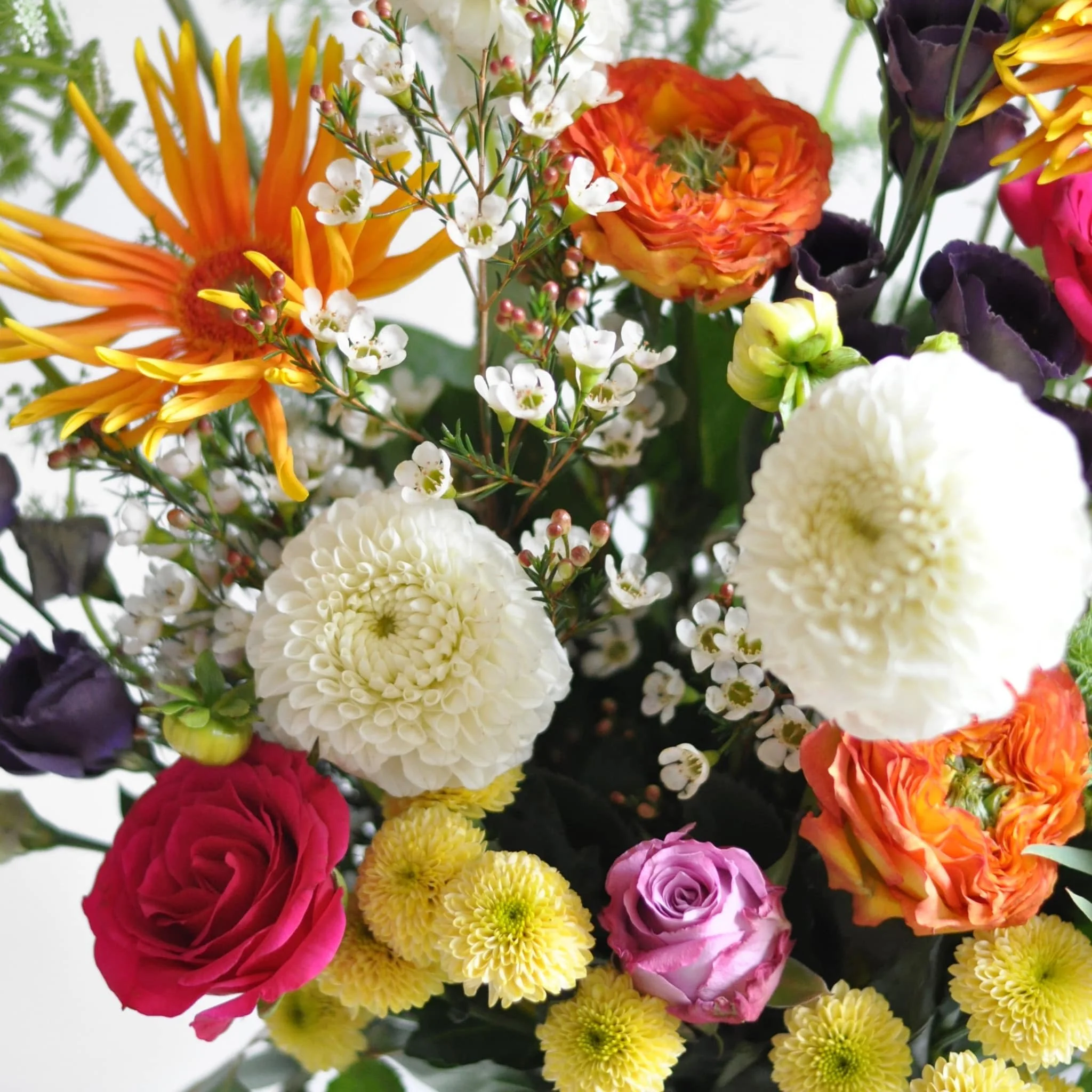 Glasgow-Florist-Weekly-Flowers-010823-2-min.jpeg