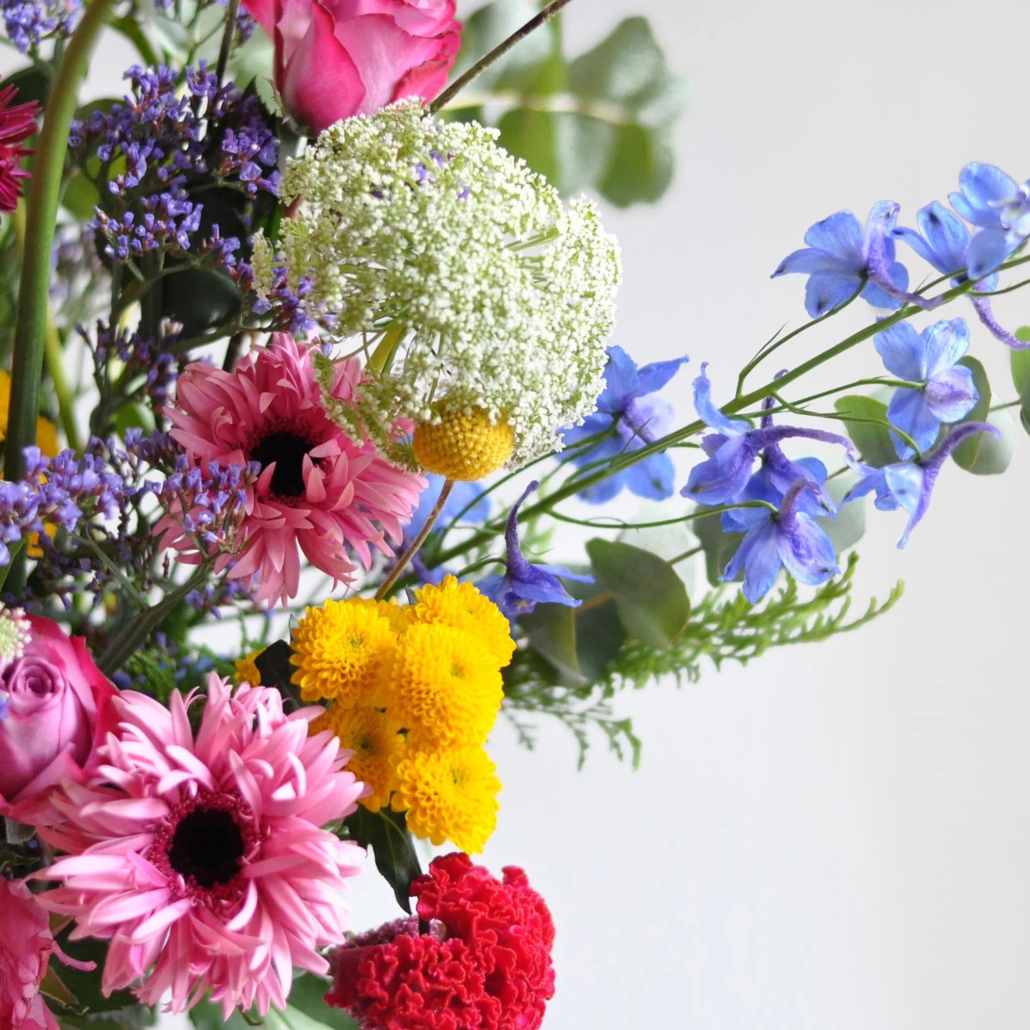 Glasgow-Weekly-Flowers-080124-2-min.jpeg