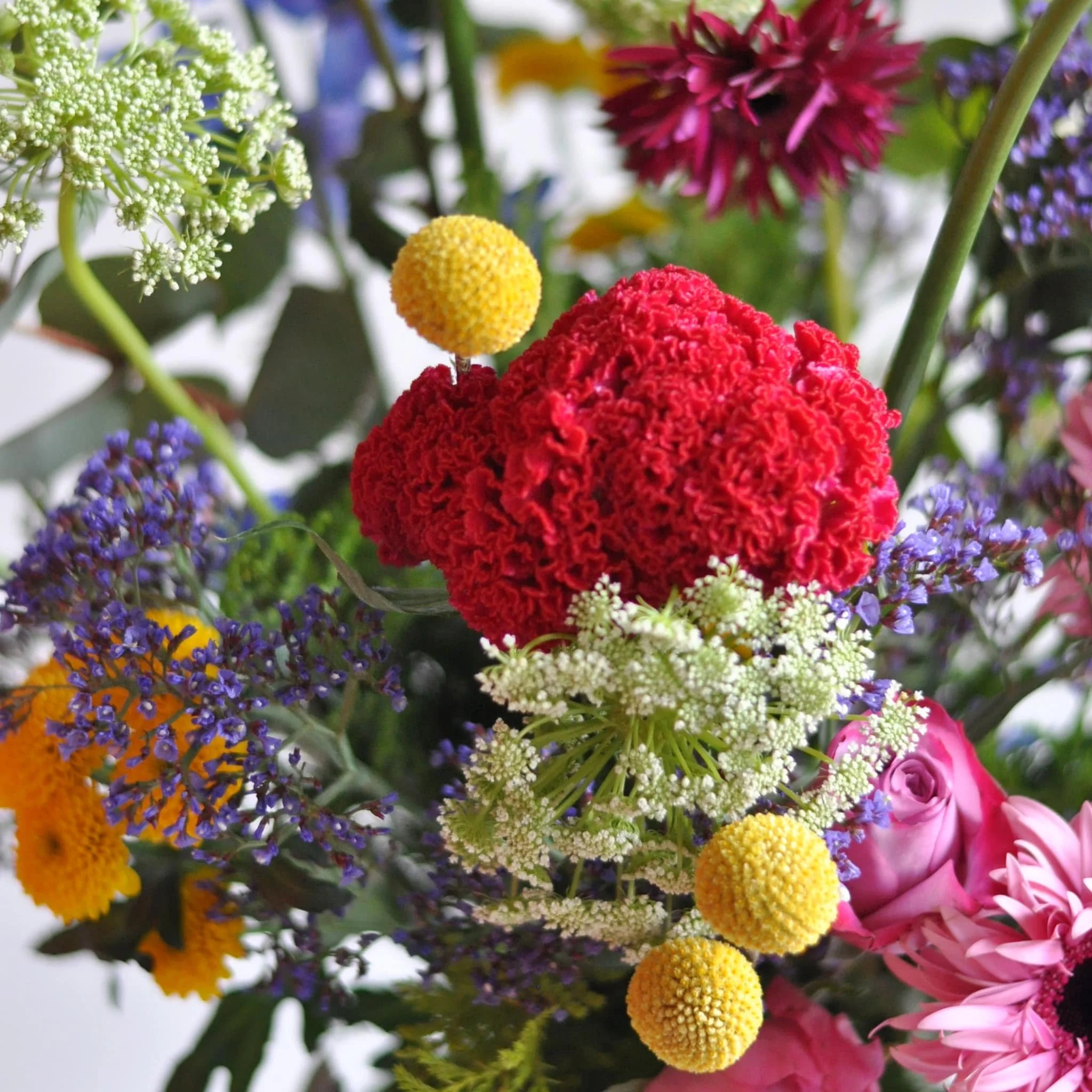 Glasgow-Weekly-Flowers-080124-1-min.jpeg