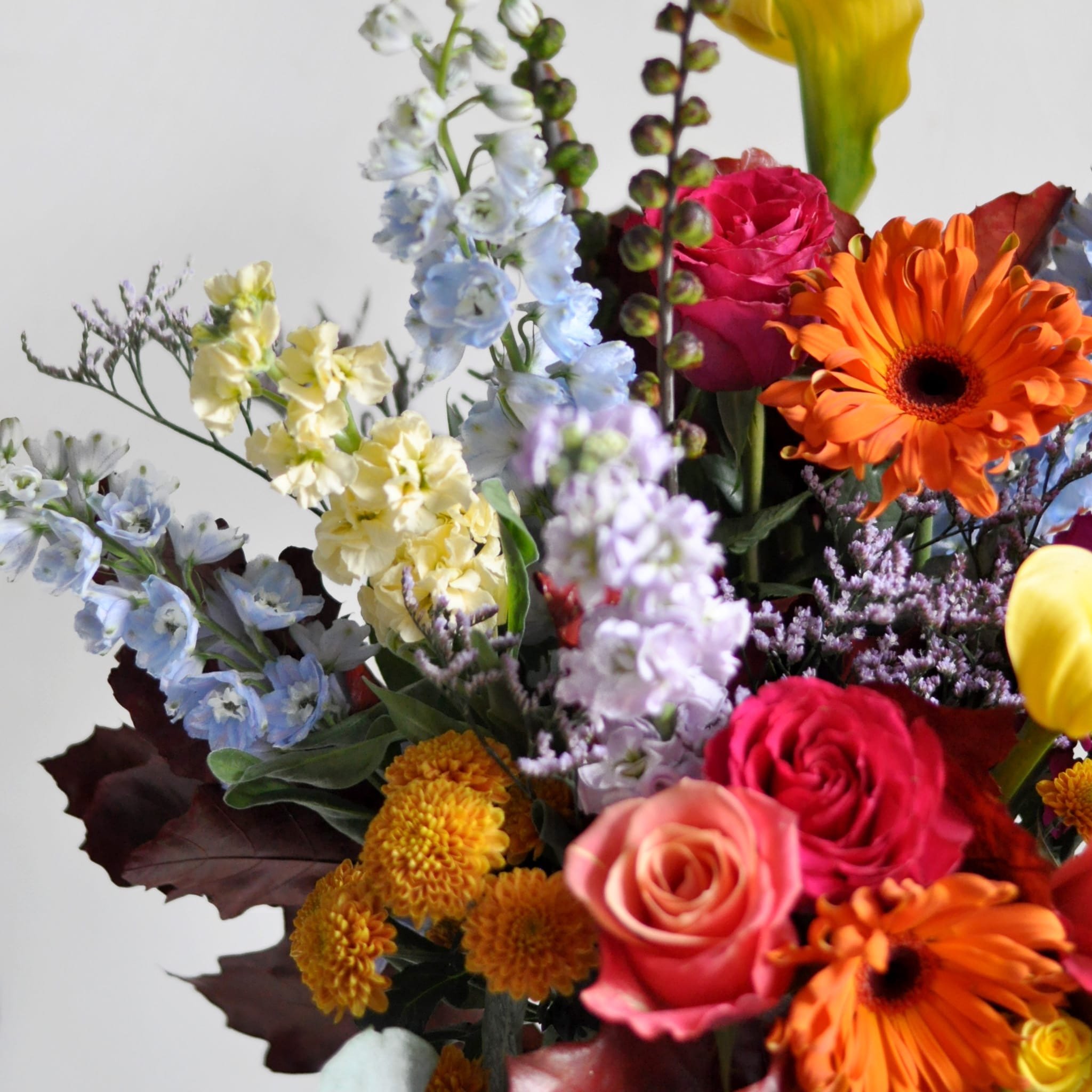 Glasgow-Weekly-Flowers-311023-1-min.jpeg