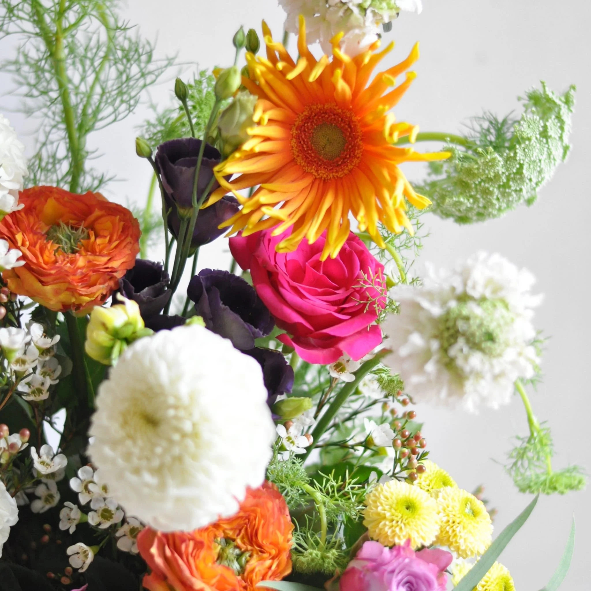 Glasgow-Florist-Weekly-Flowers-010823-1-min.jpeg