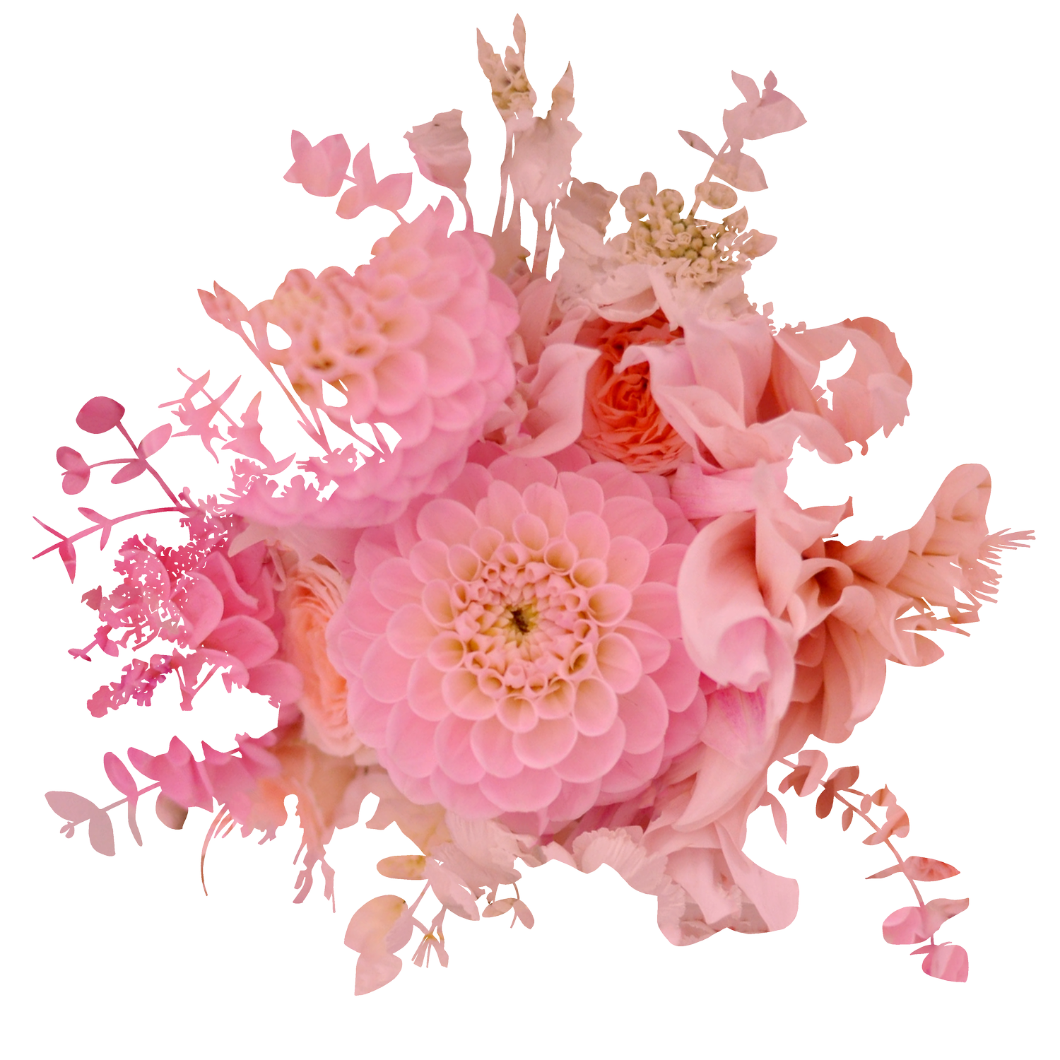 New Bud Floristry | Glasgow Florist