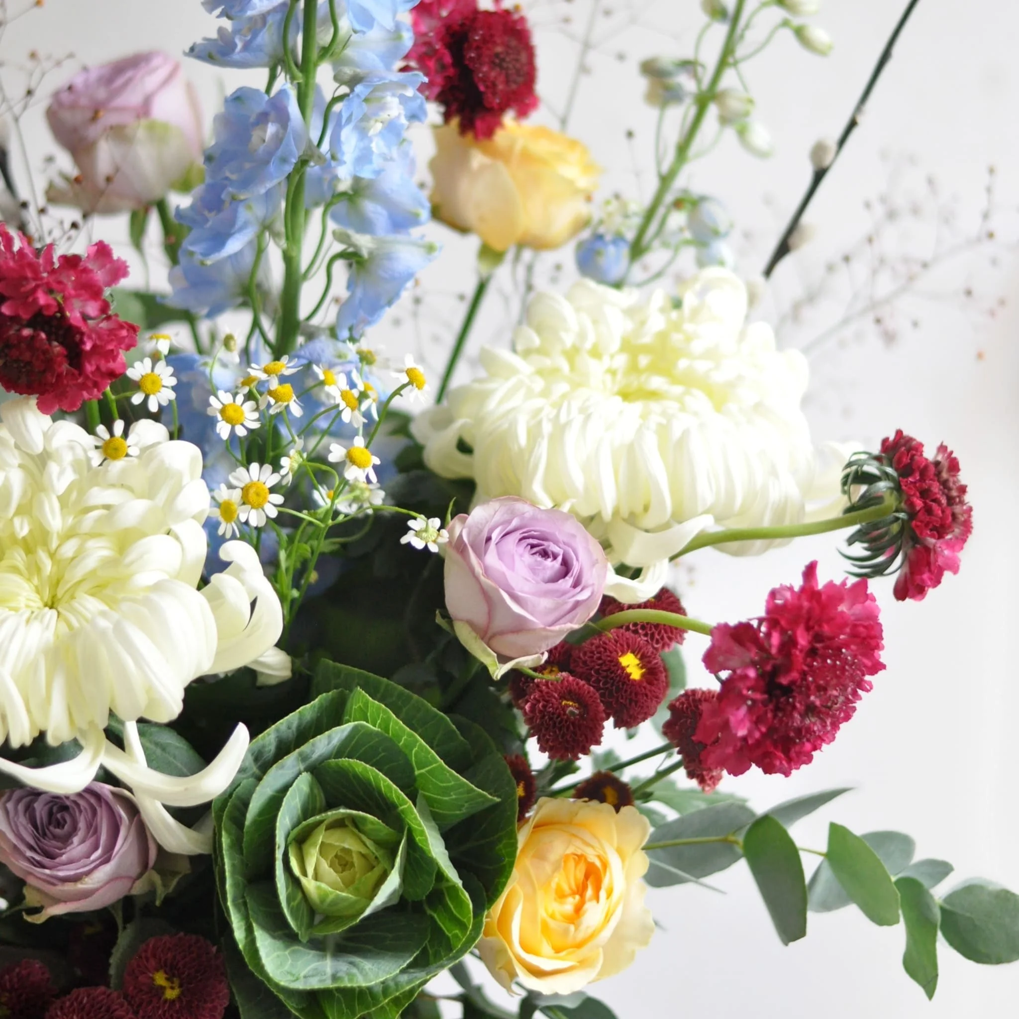 Glasgow-Weekly-Flowers-091023_1-min.jpeg