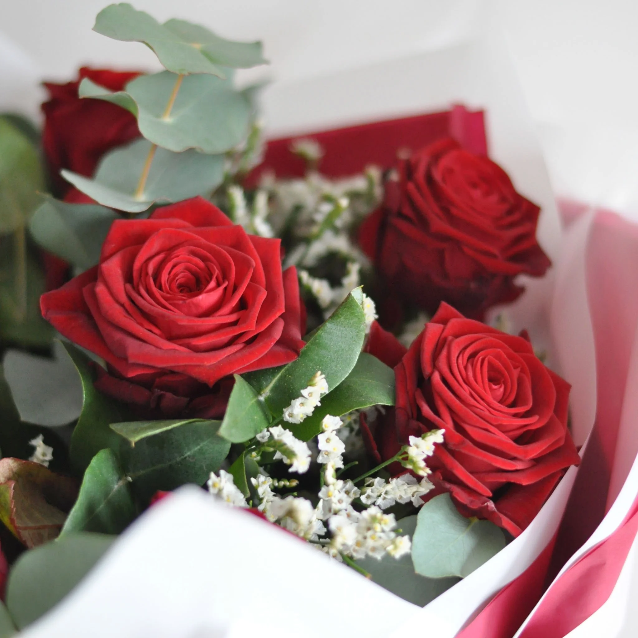 Valentines_Red_001 (1).jpg