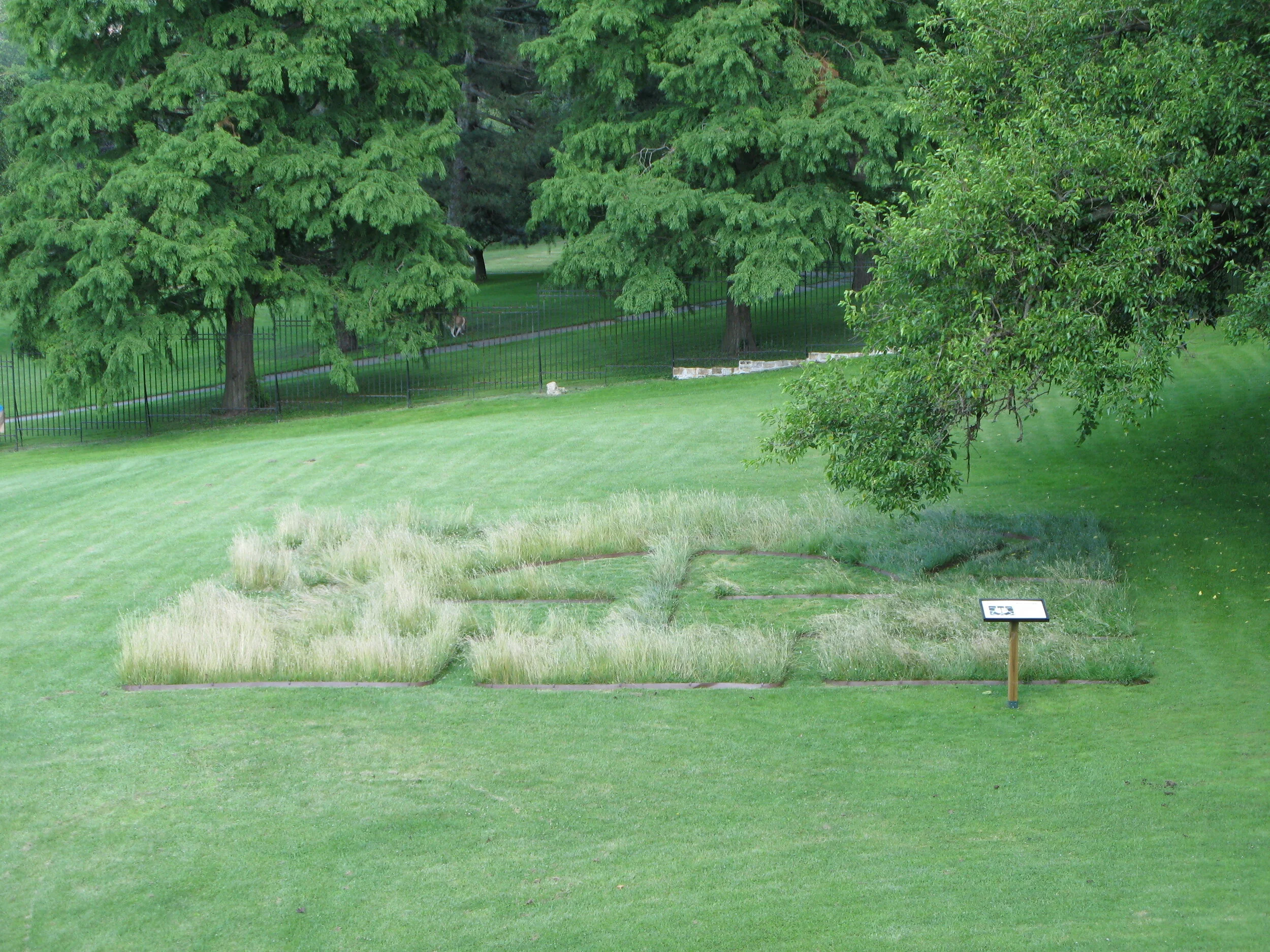 Garden July 10 view from window.JPG